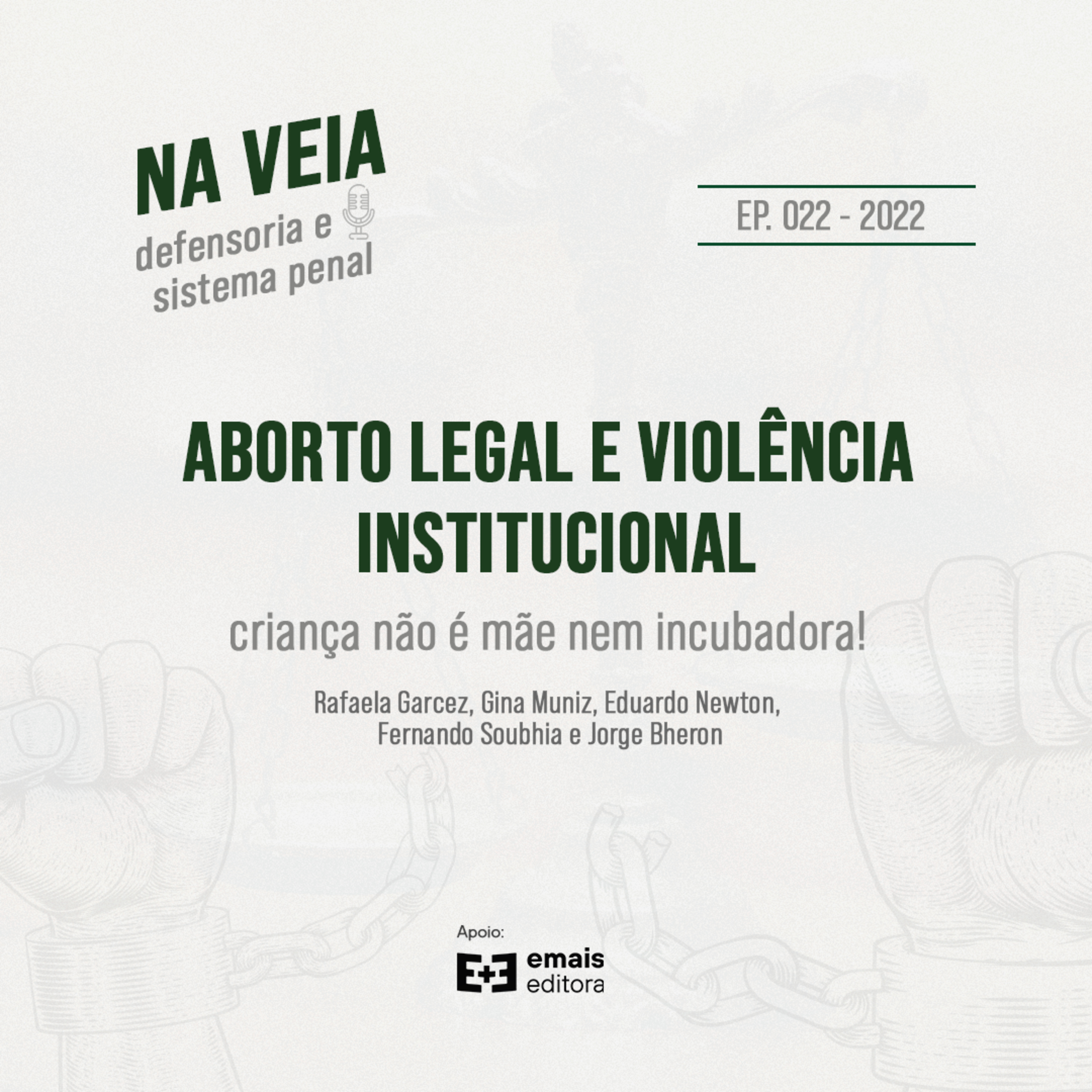 Na Veia - defensoria e sistema penal