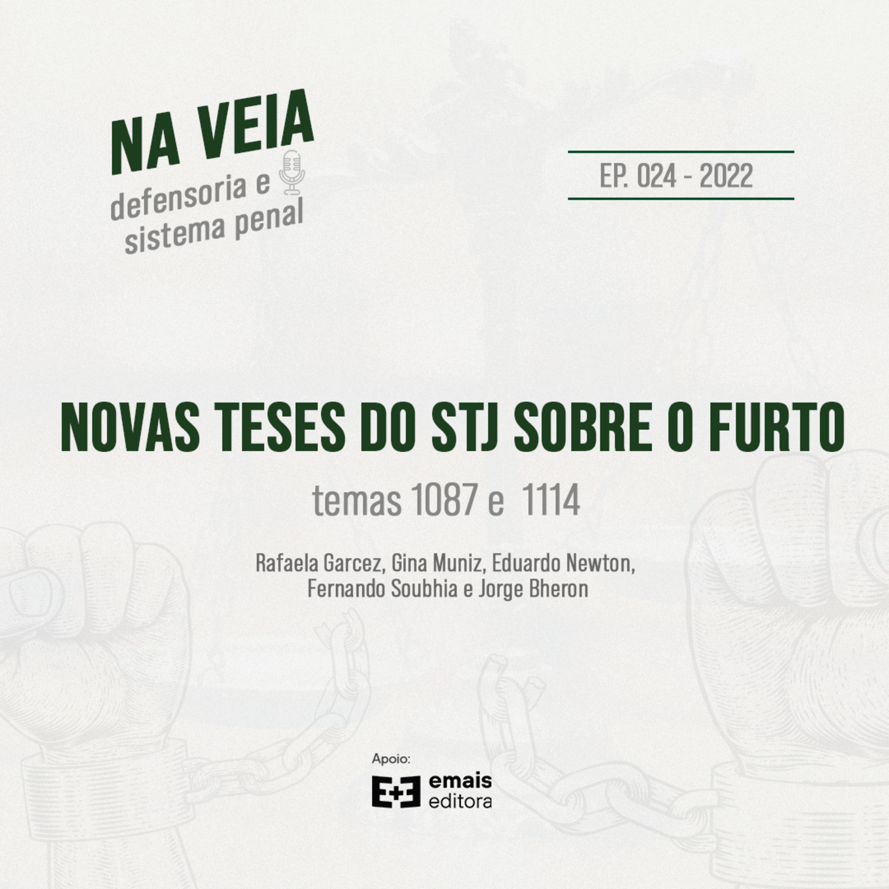 Na Veia - defensoria e sistema penal