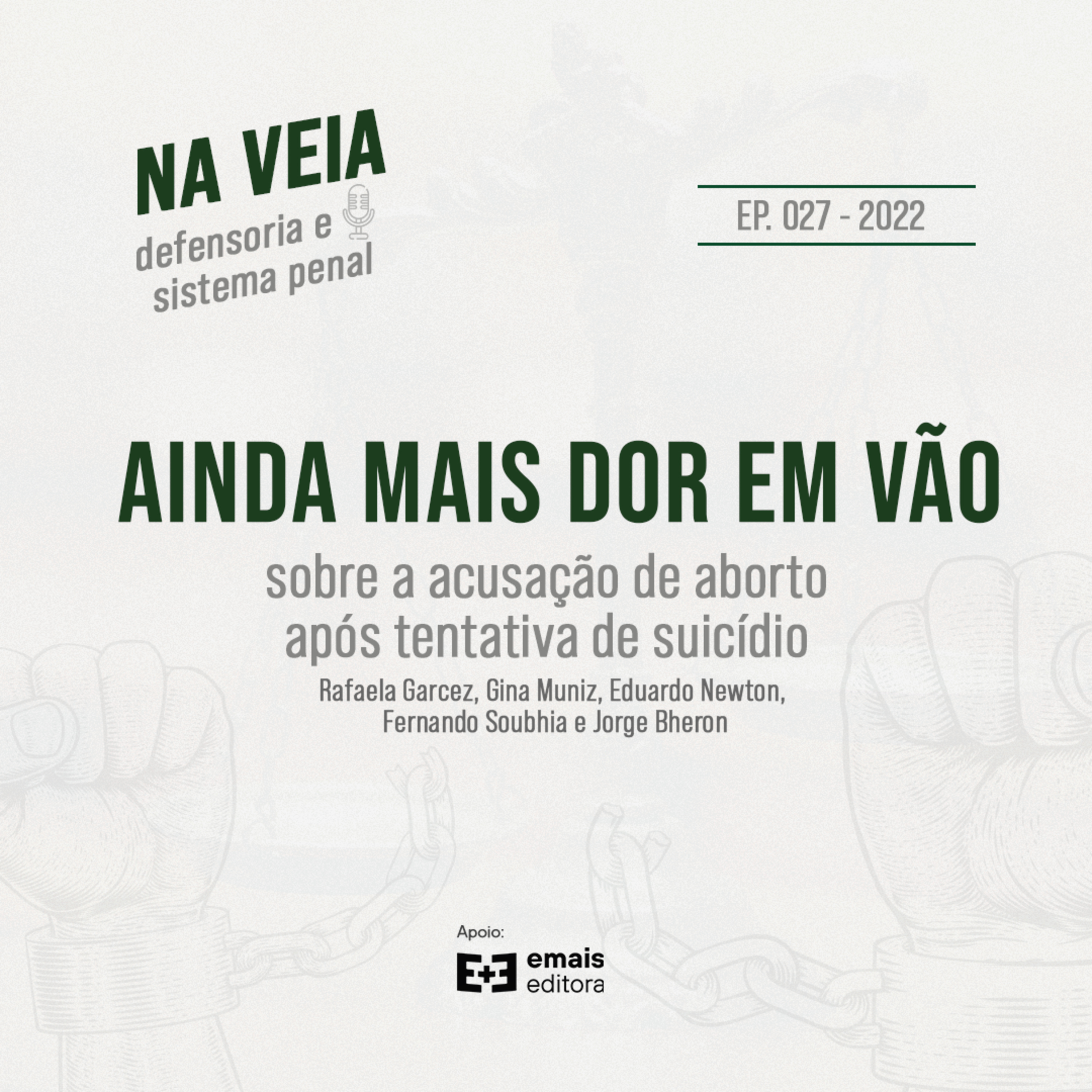 Na Veia - defensoria e sistema penal