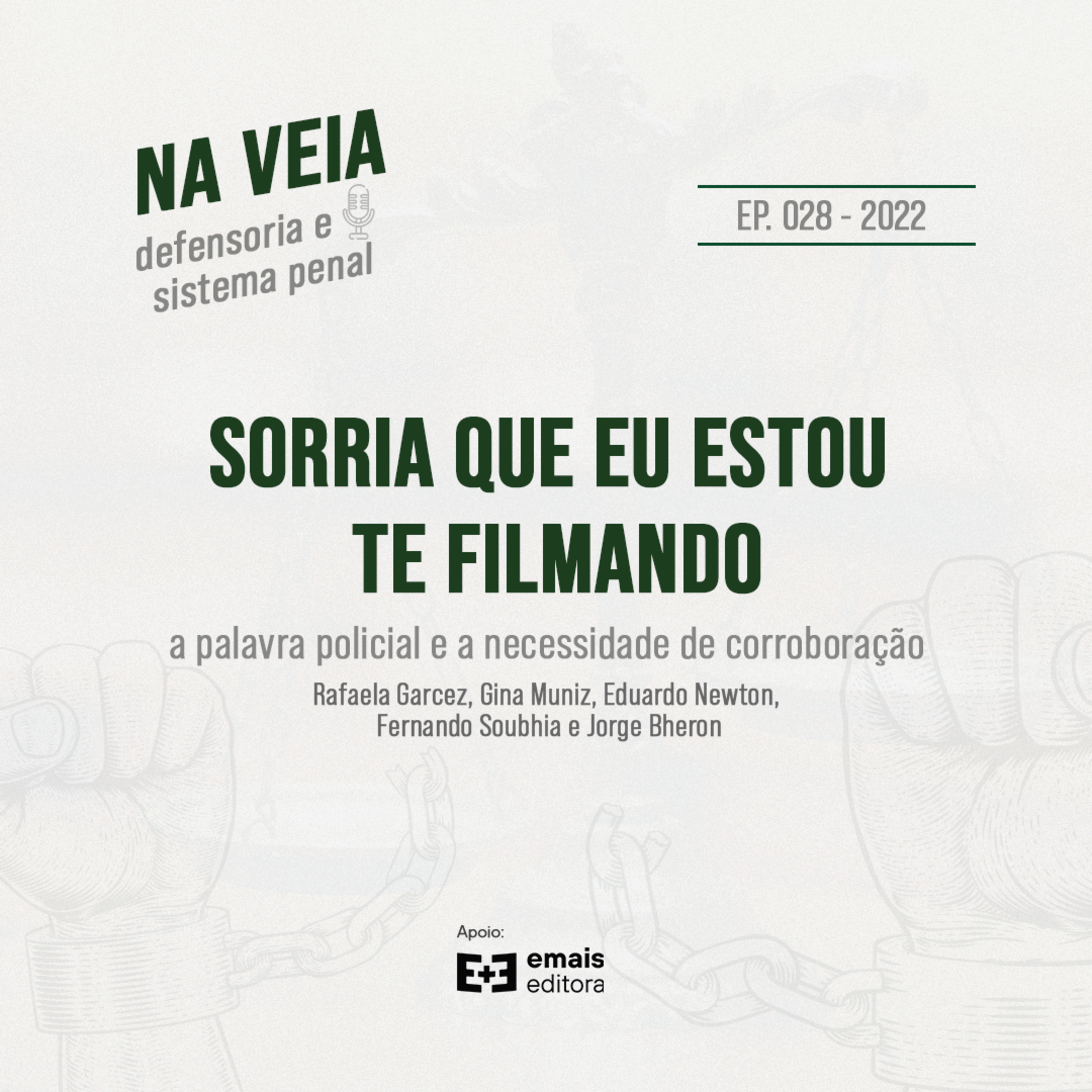 Na Veia - defensoria e sistema penal