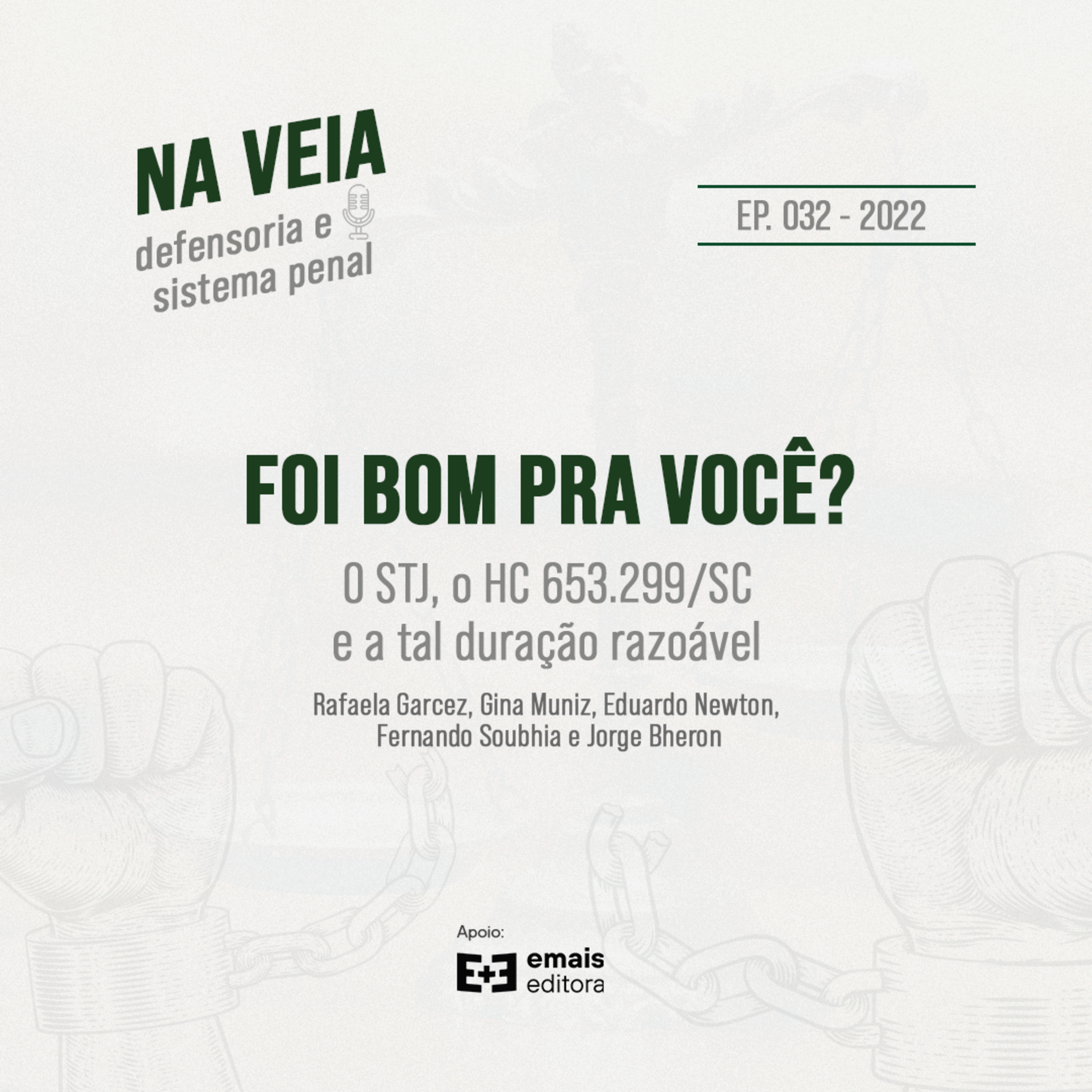 Na Veia - defensoria e sistema penal
