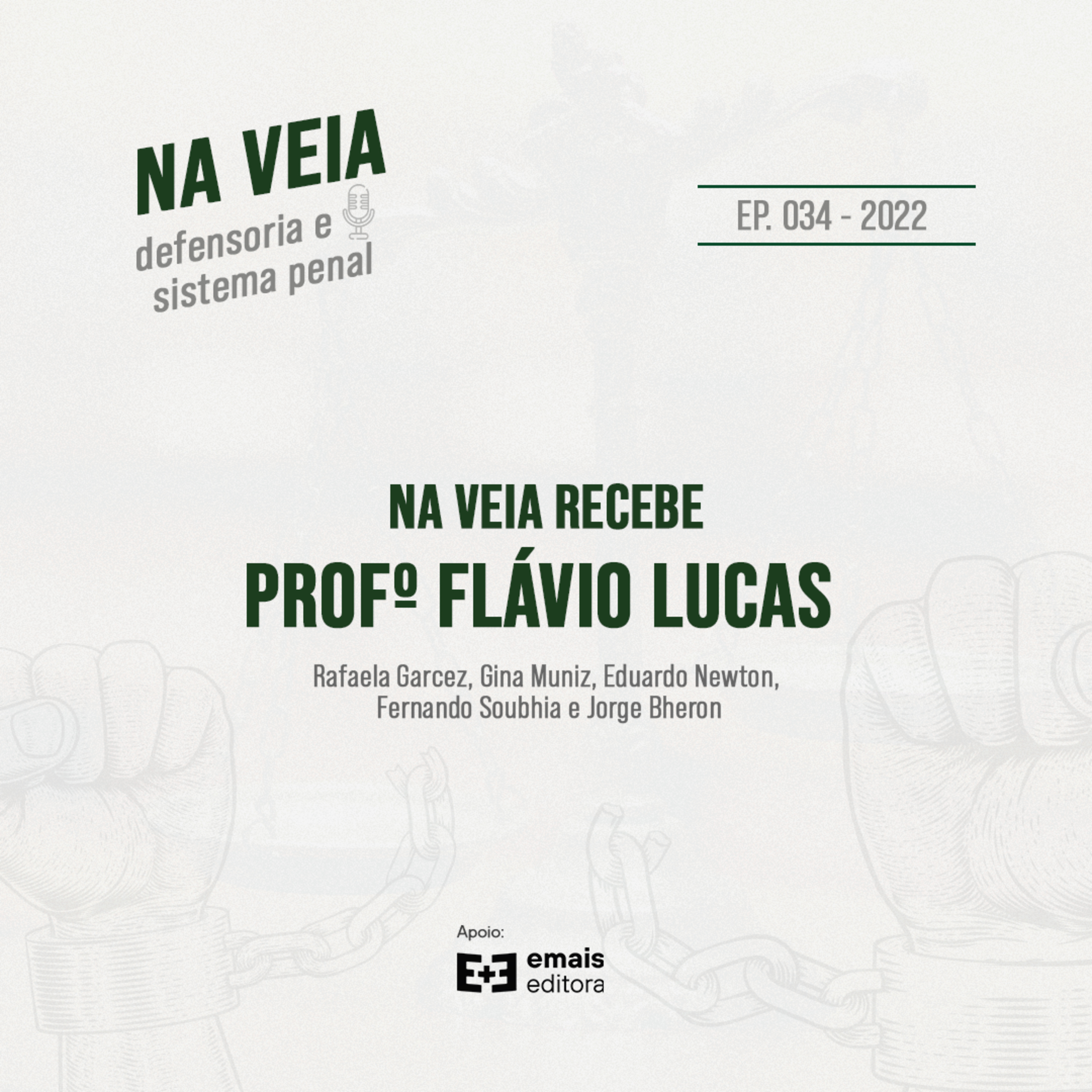 Na Veia - defensoria e sistema penal