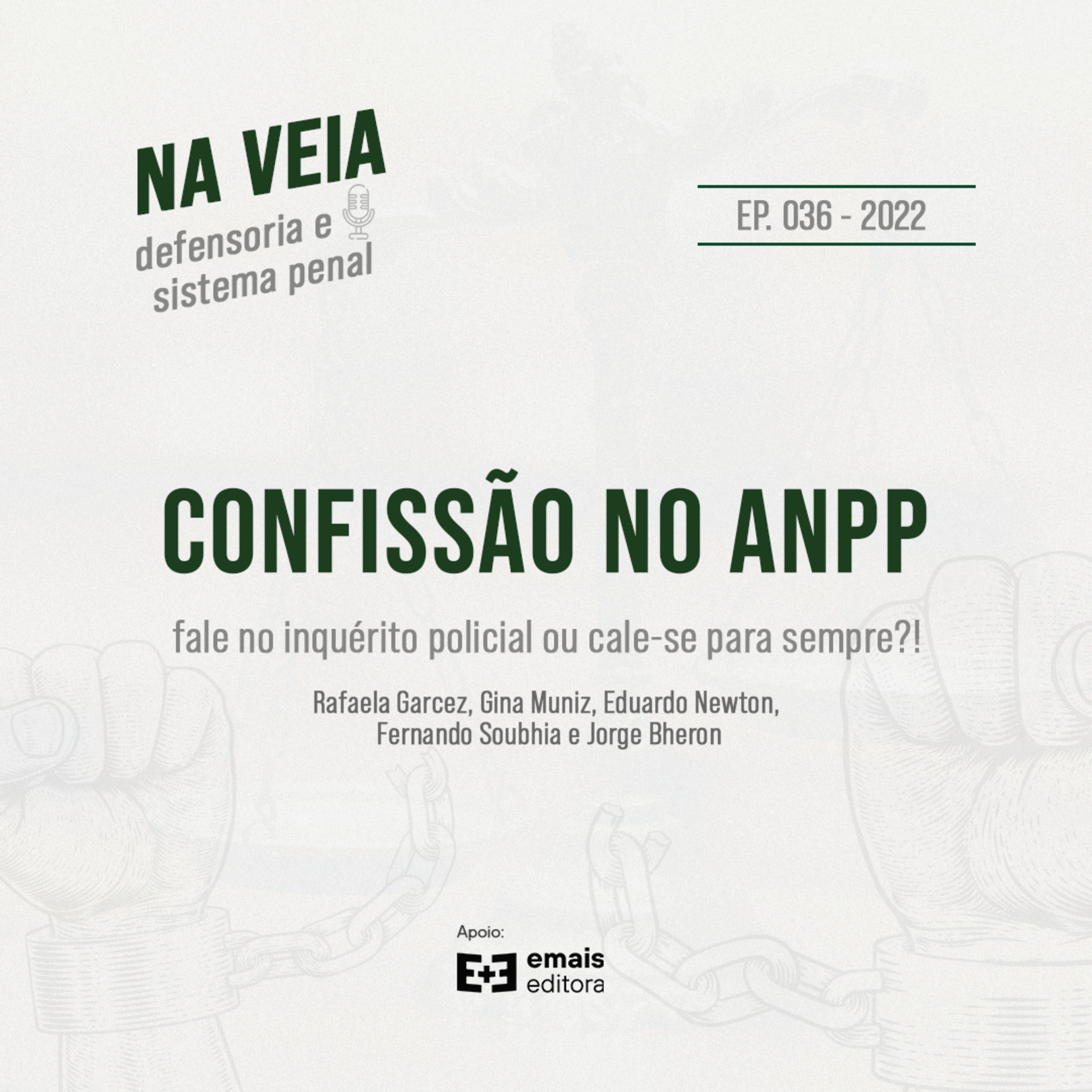 Na Veia - defensoria e sistema penal