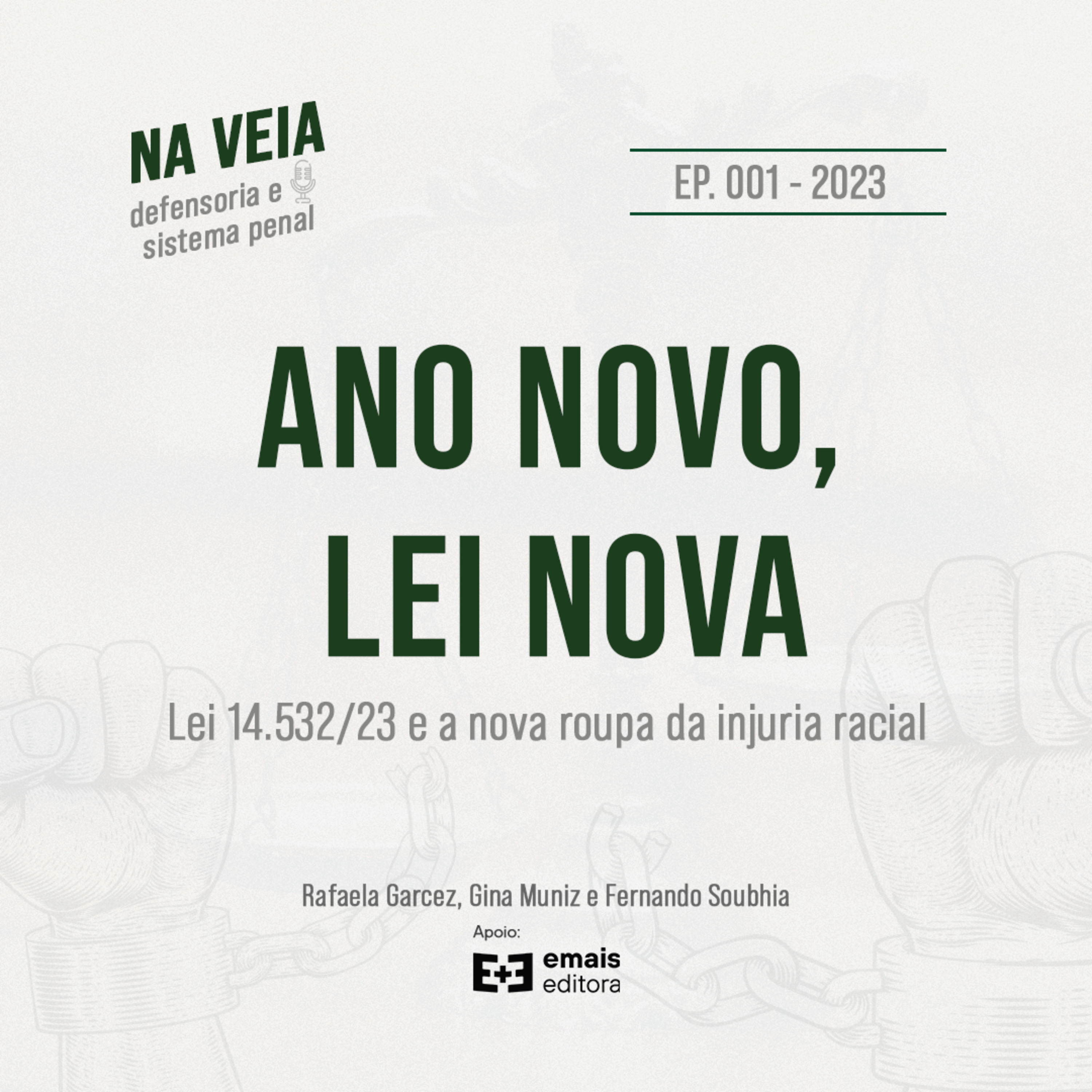 Na Veia - defensoria e sistema penal