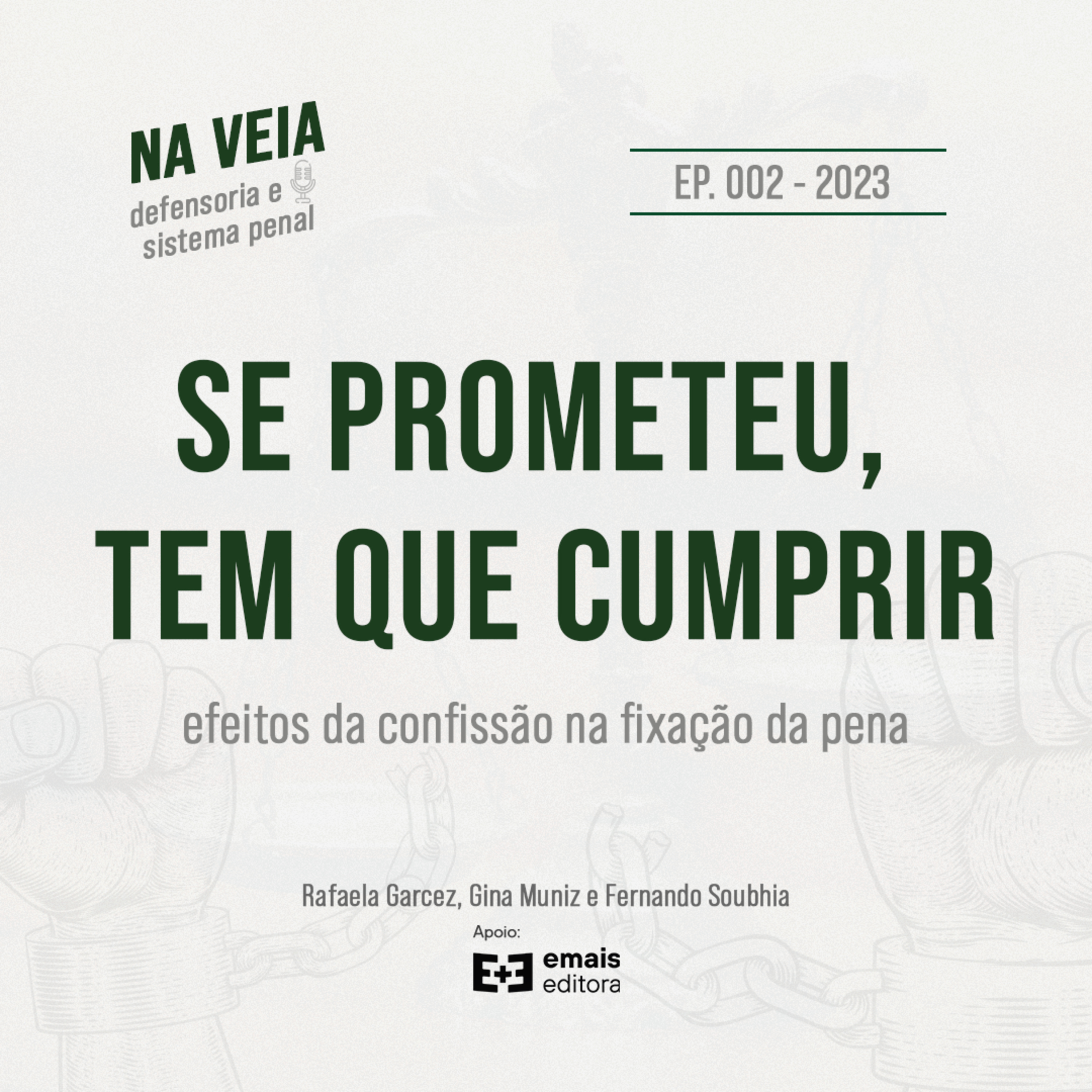 Na Veia - defensoria e sistema penal