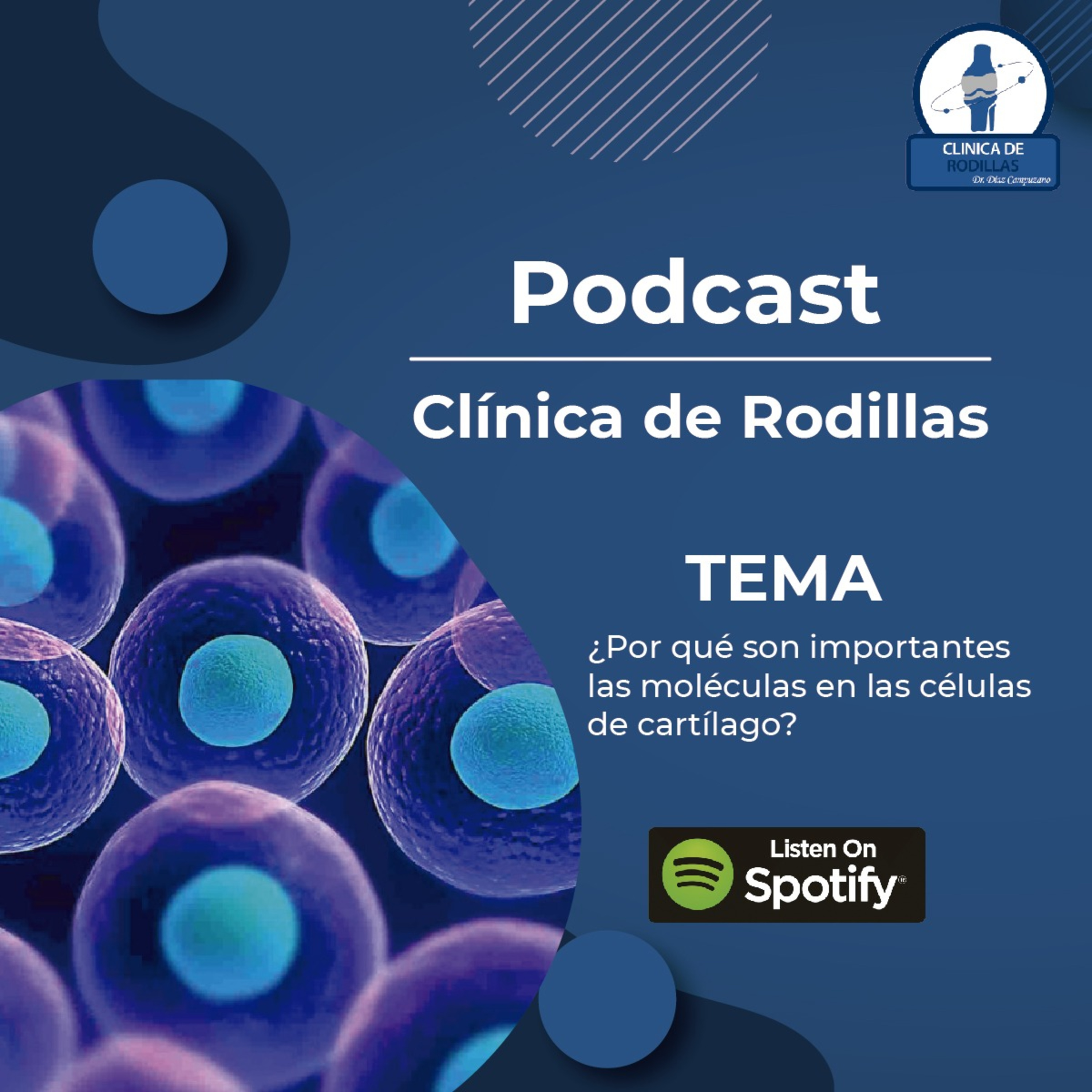 Clínica de rodillas del Dr. Díaz Campuzano