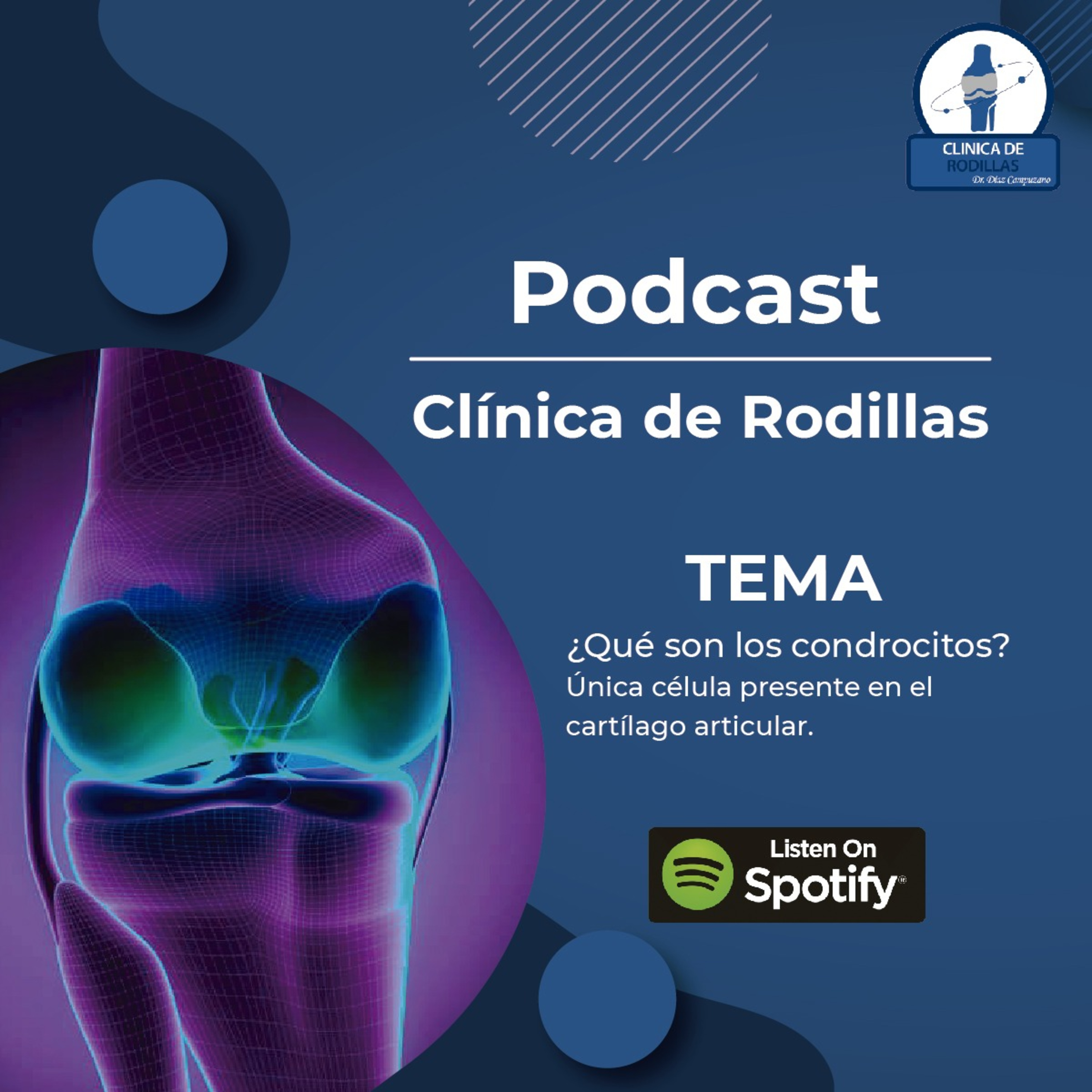 Clínica de rodillas del Dr. Díaz Campuzano