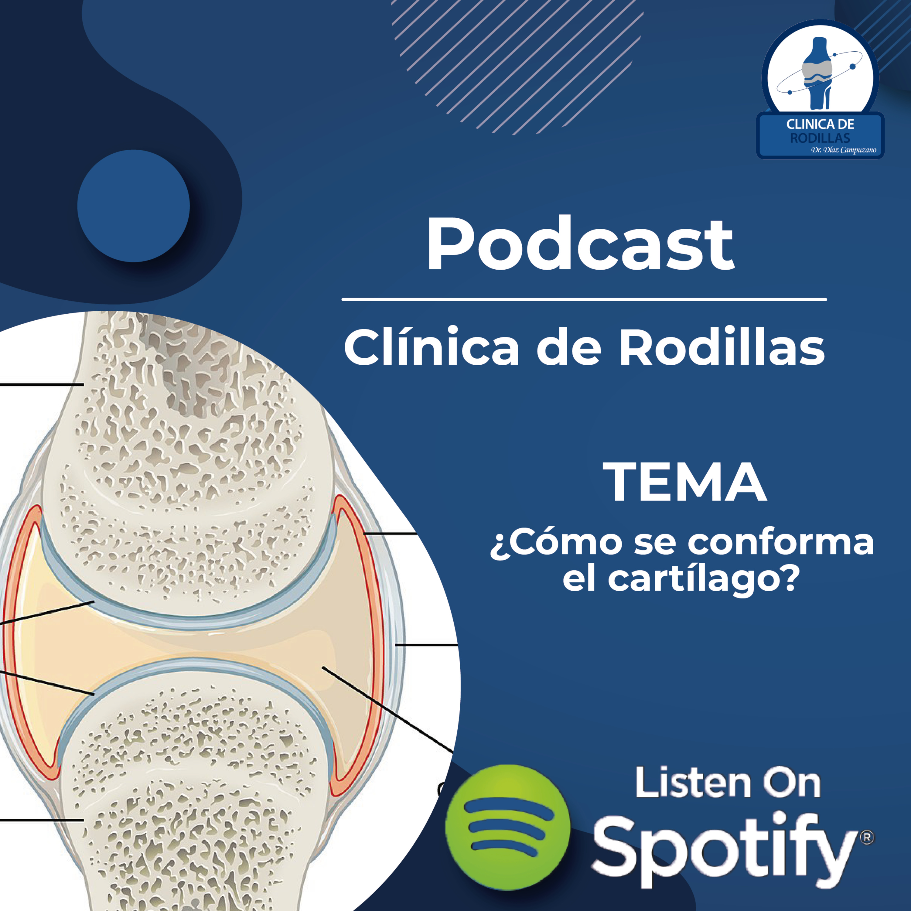 Clínica de rodillas del Dr. Díaz Campuzano