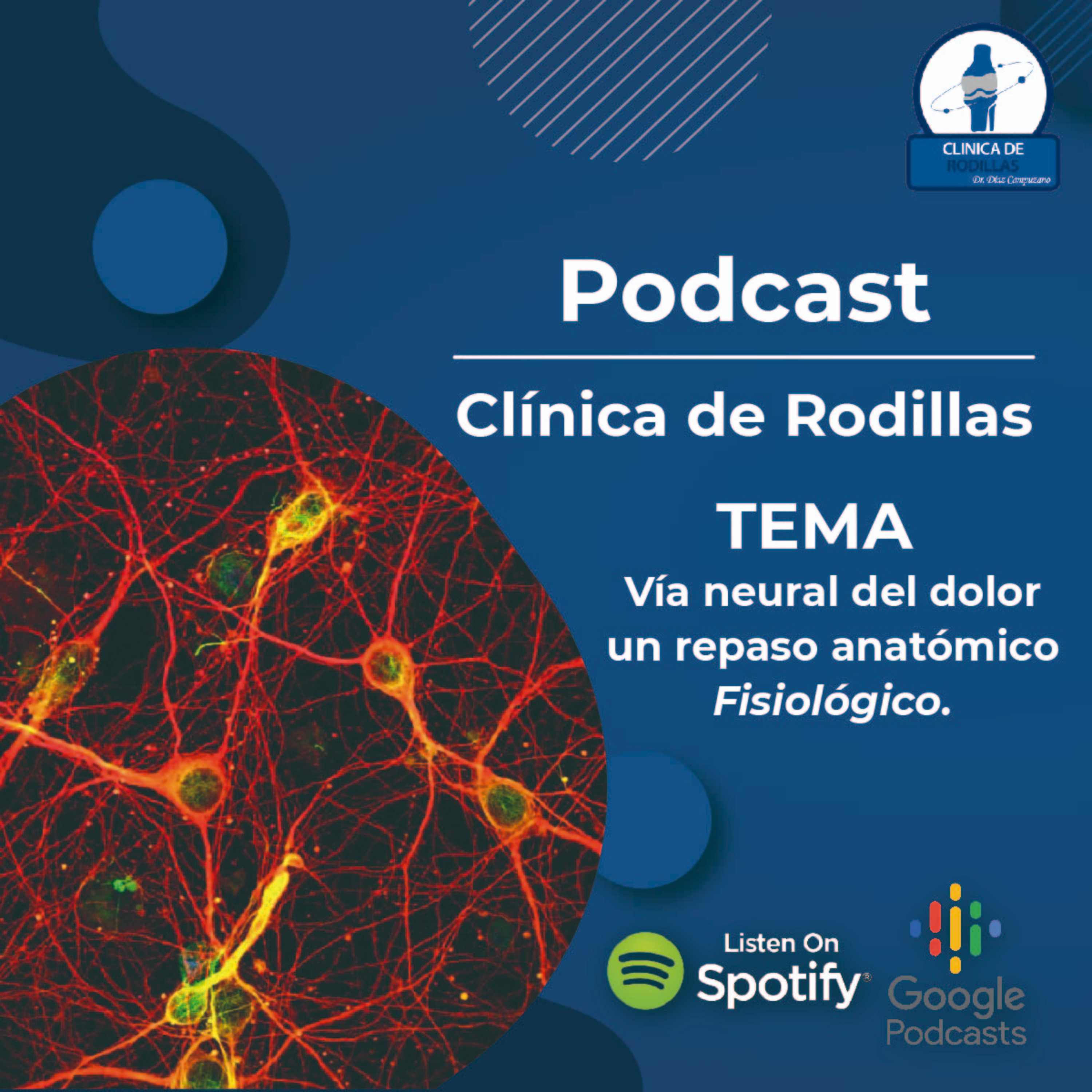 Clínica de rodillas del Dr. Díaz Campuzano