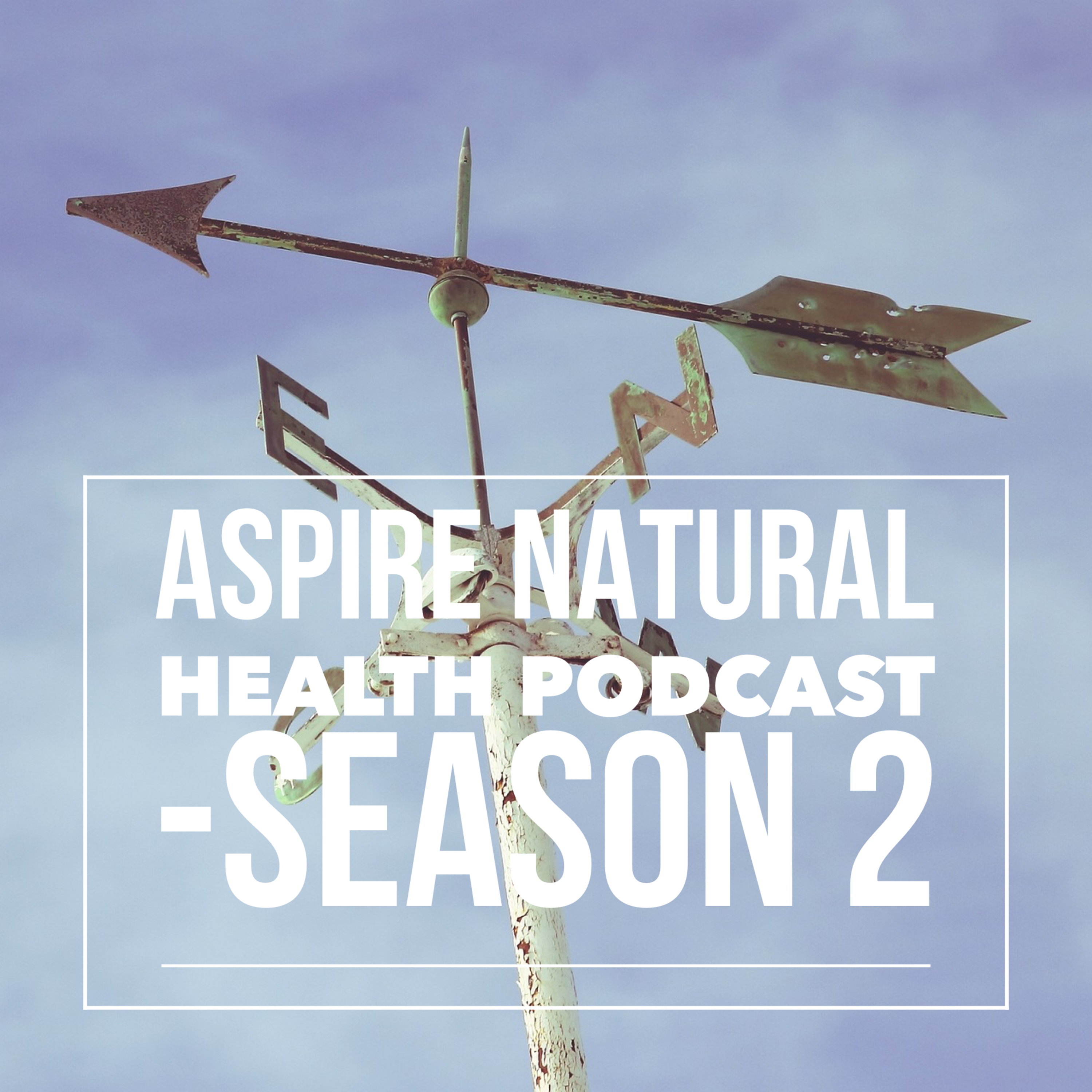 Aspire Natural Health Podcast - Season 2, Episode 2 - Meet DrG episode artwork