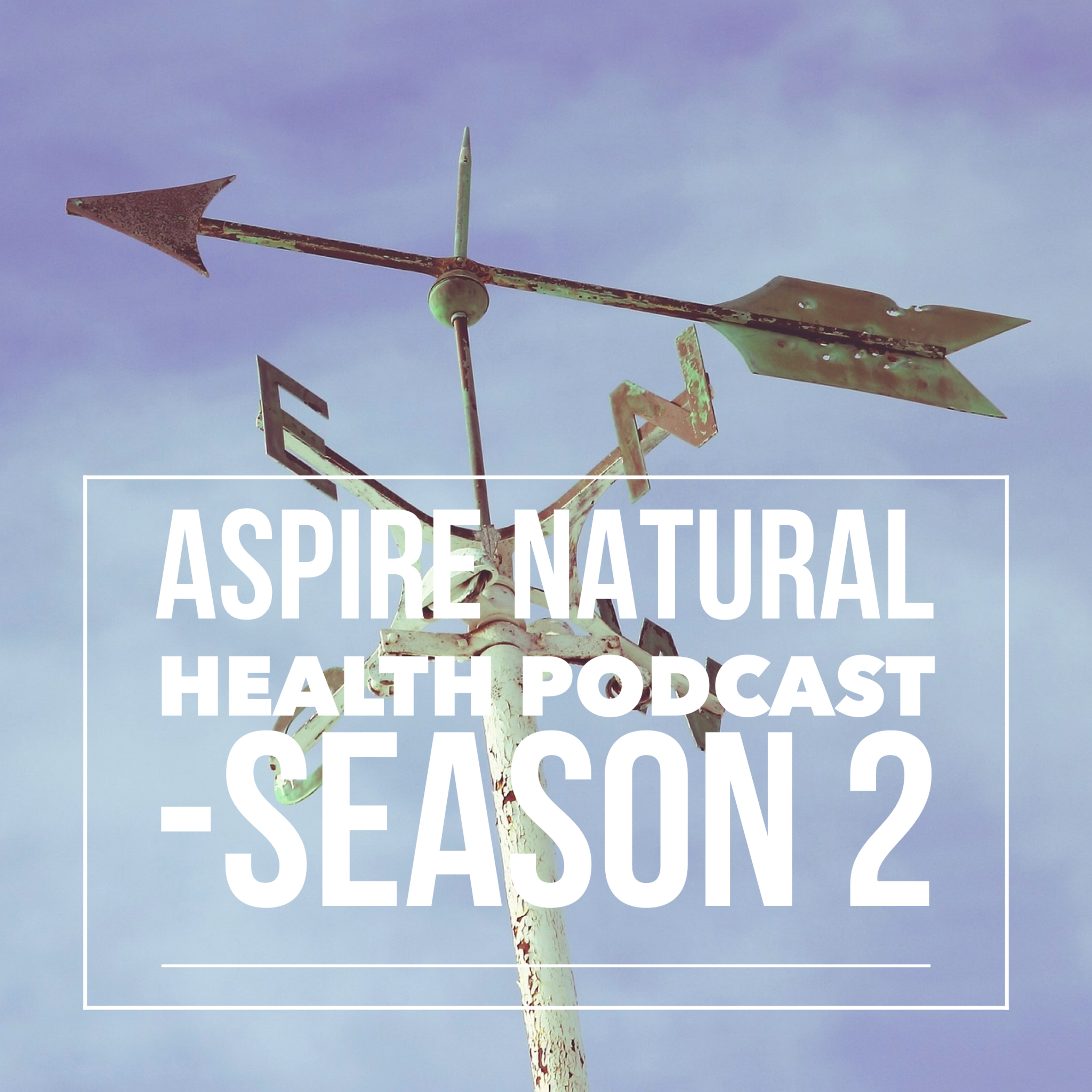 ANH Podcast - Season 2; Episode 3 - Dr. Gerstmar's new book is HERE! episode artwork