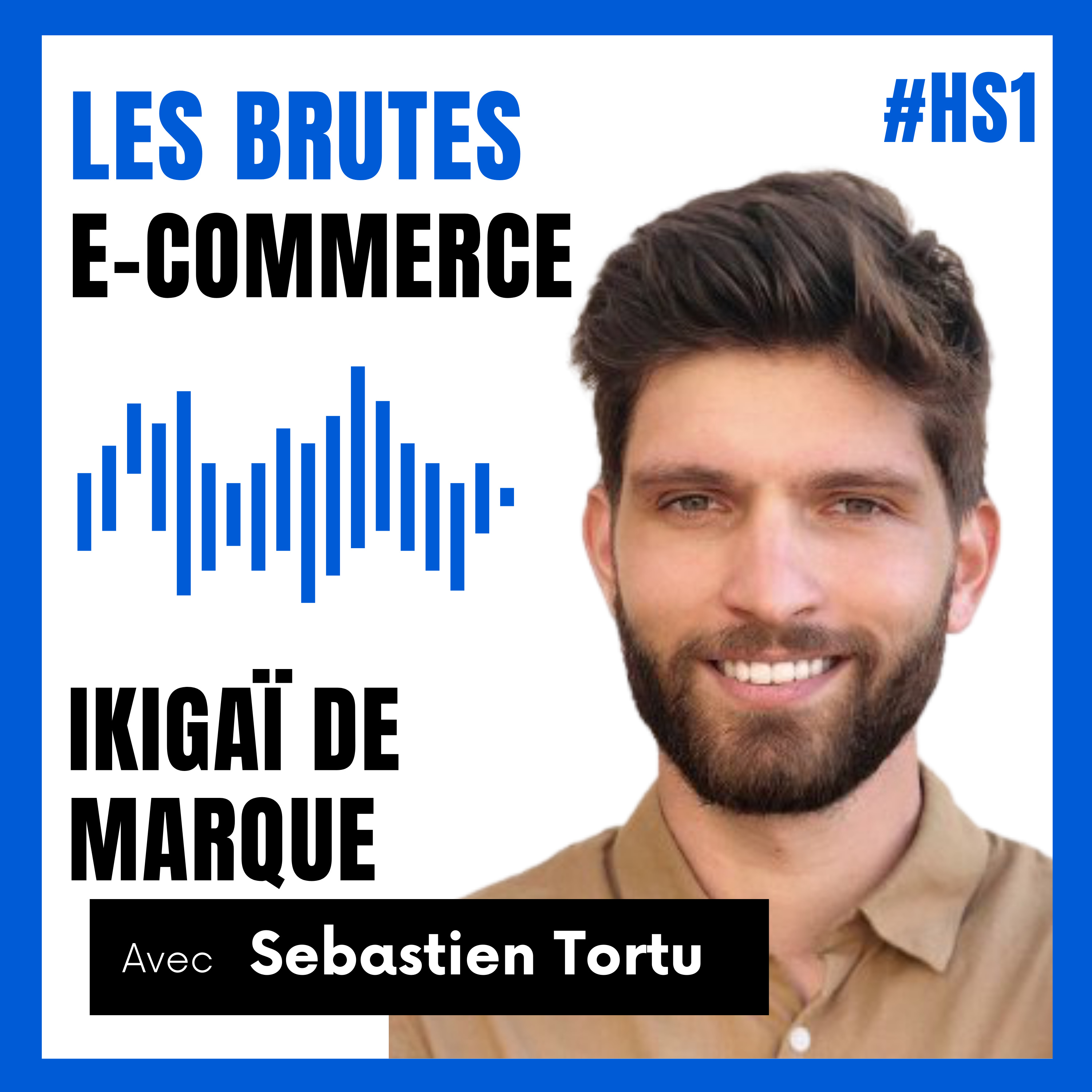 Les Brutes Acquiz by Coudac (ex les brutes e-commerce)