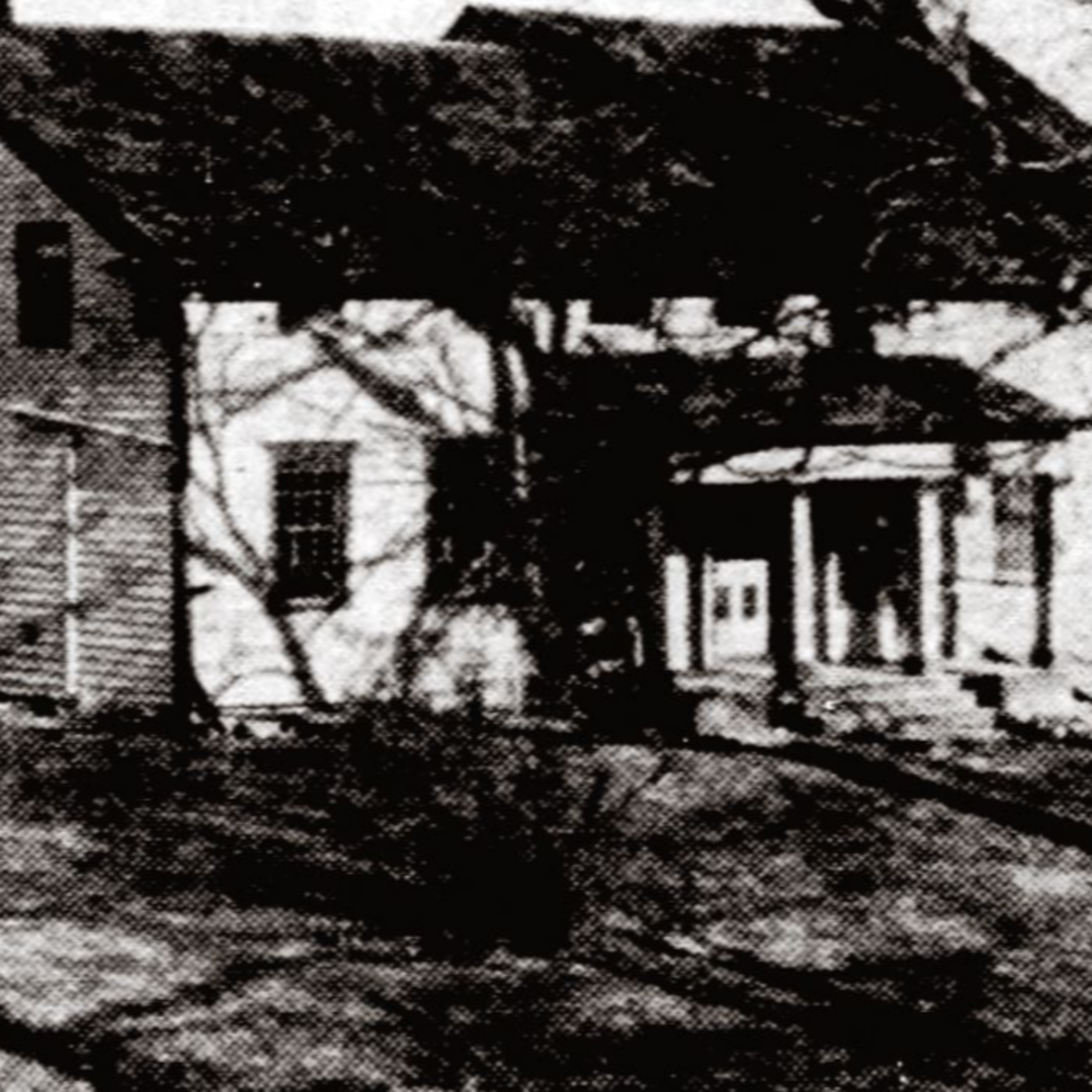 Mystifyingly Missing, True Crime & Thought-provoking Events
