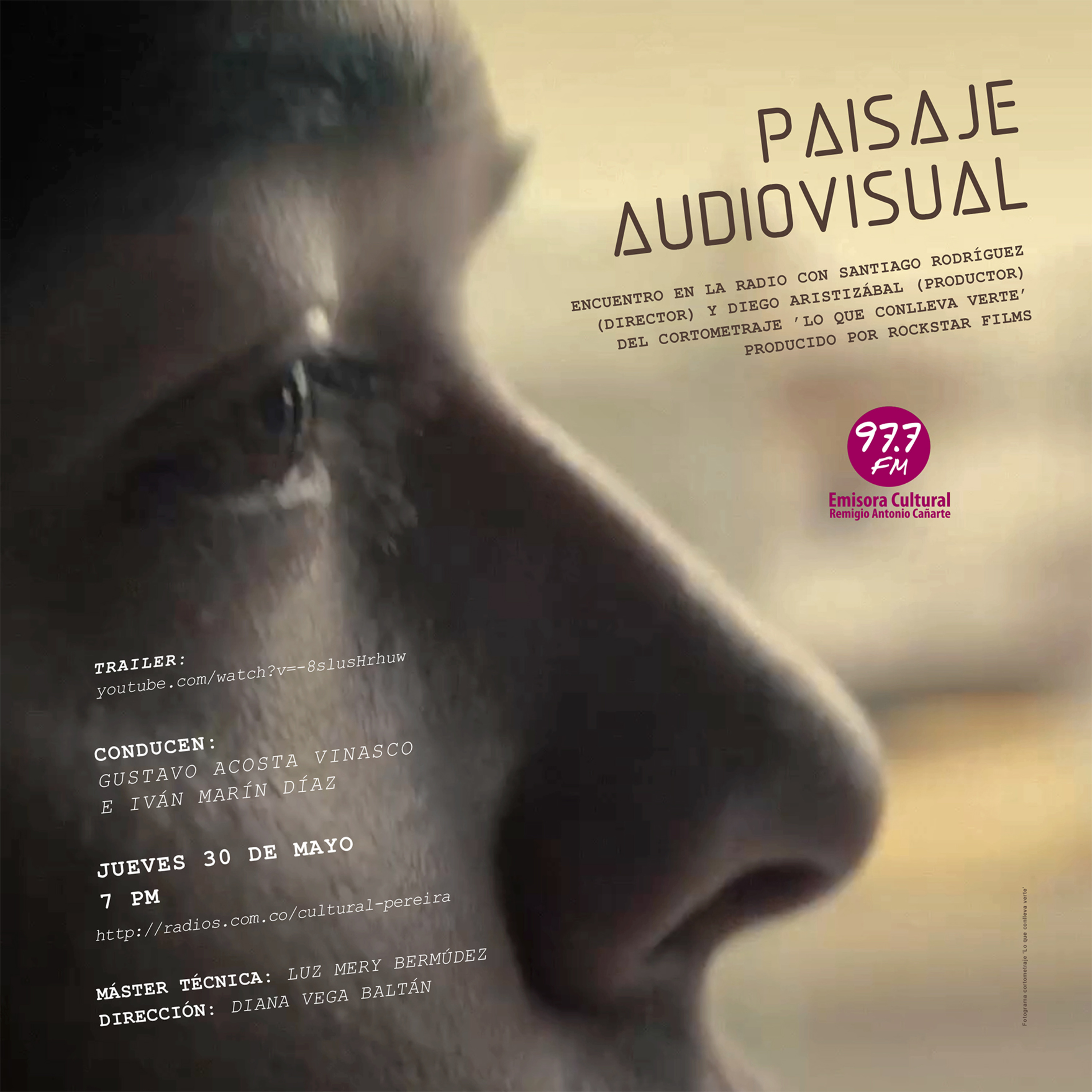 Paisaje Audiovisual