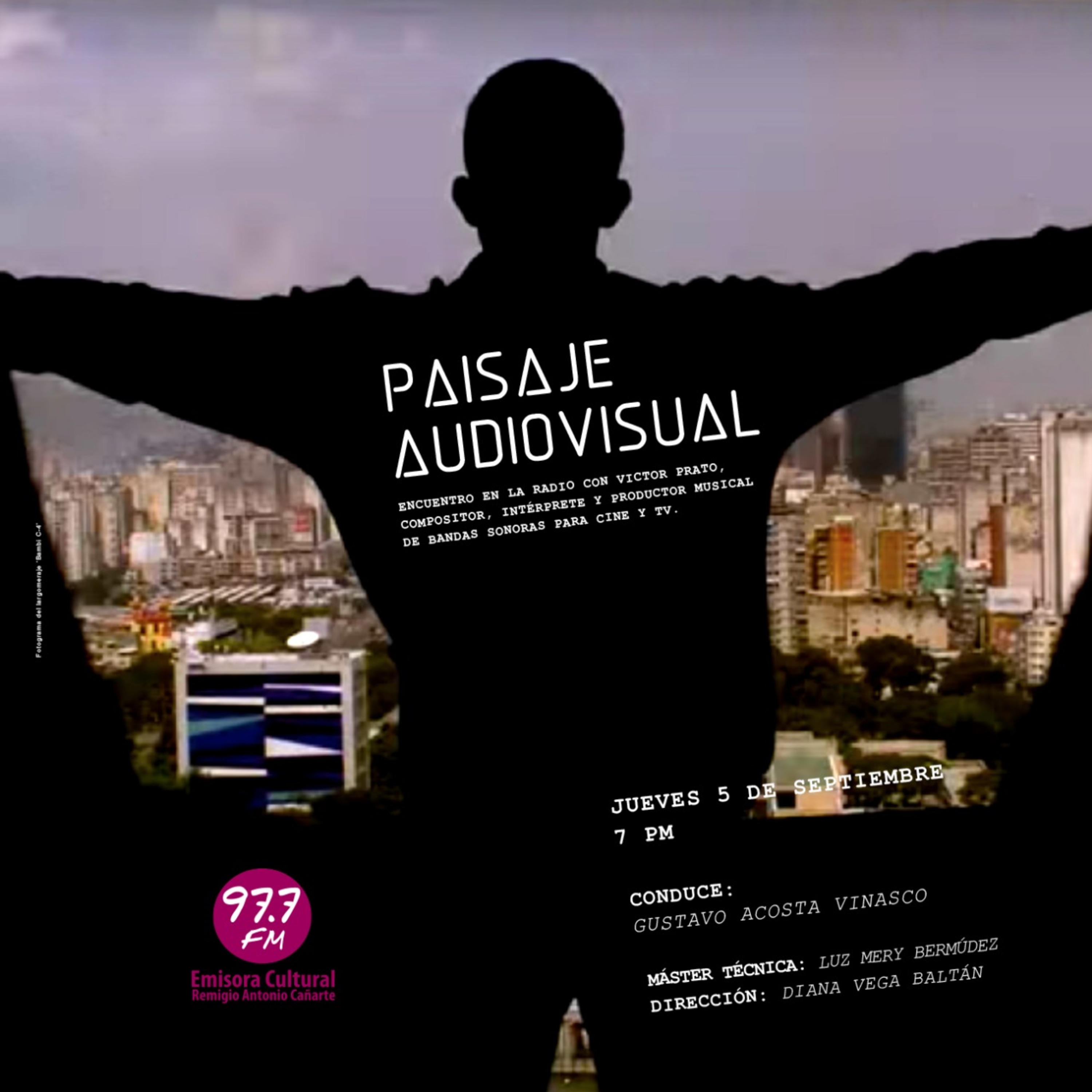 Paisaje Audiovisual