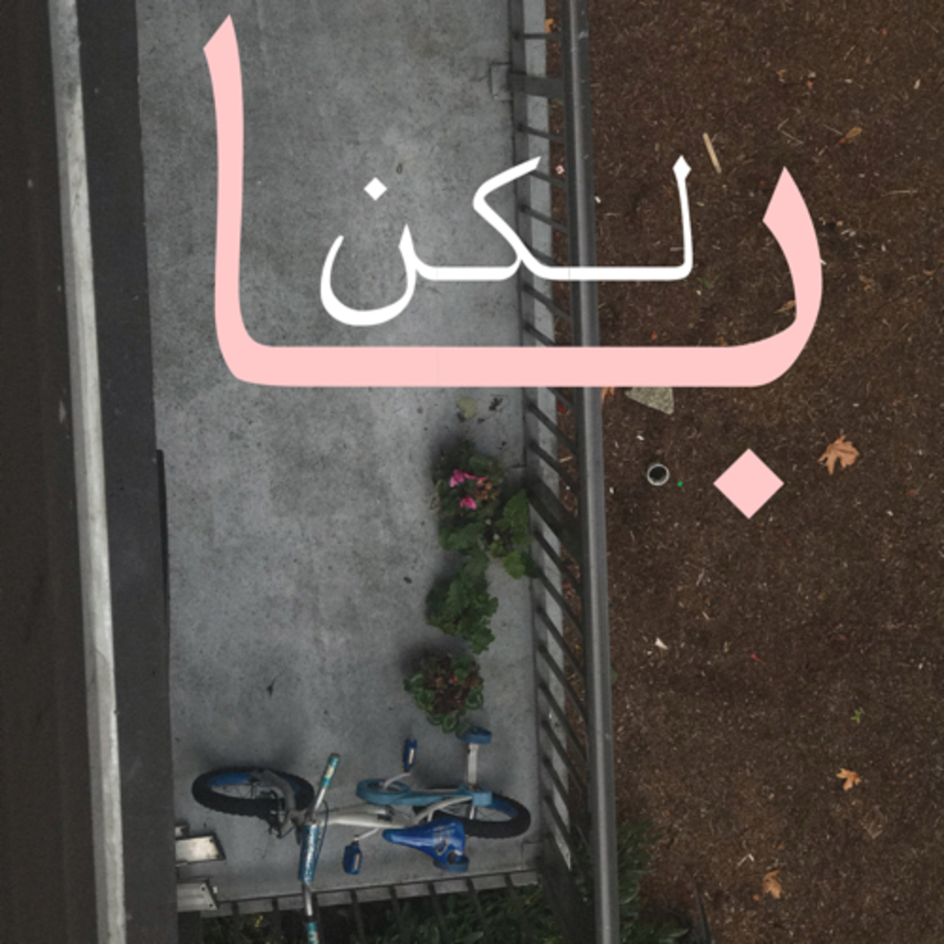 کاور Iranian community