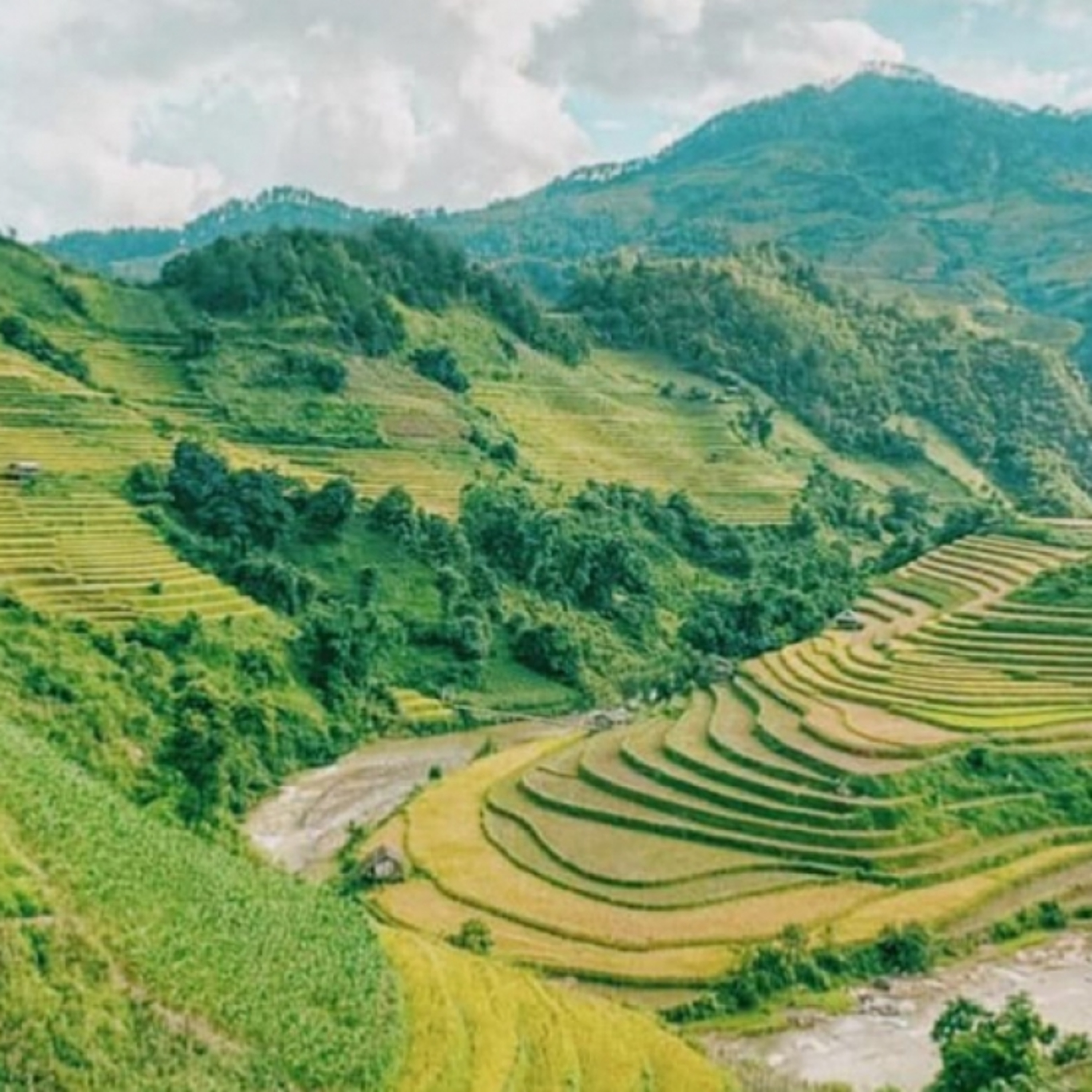 VOV6 - Ban Văn học Nghệ thuật