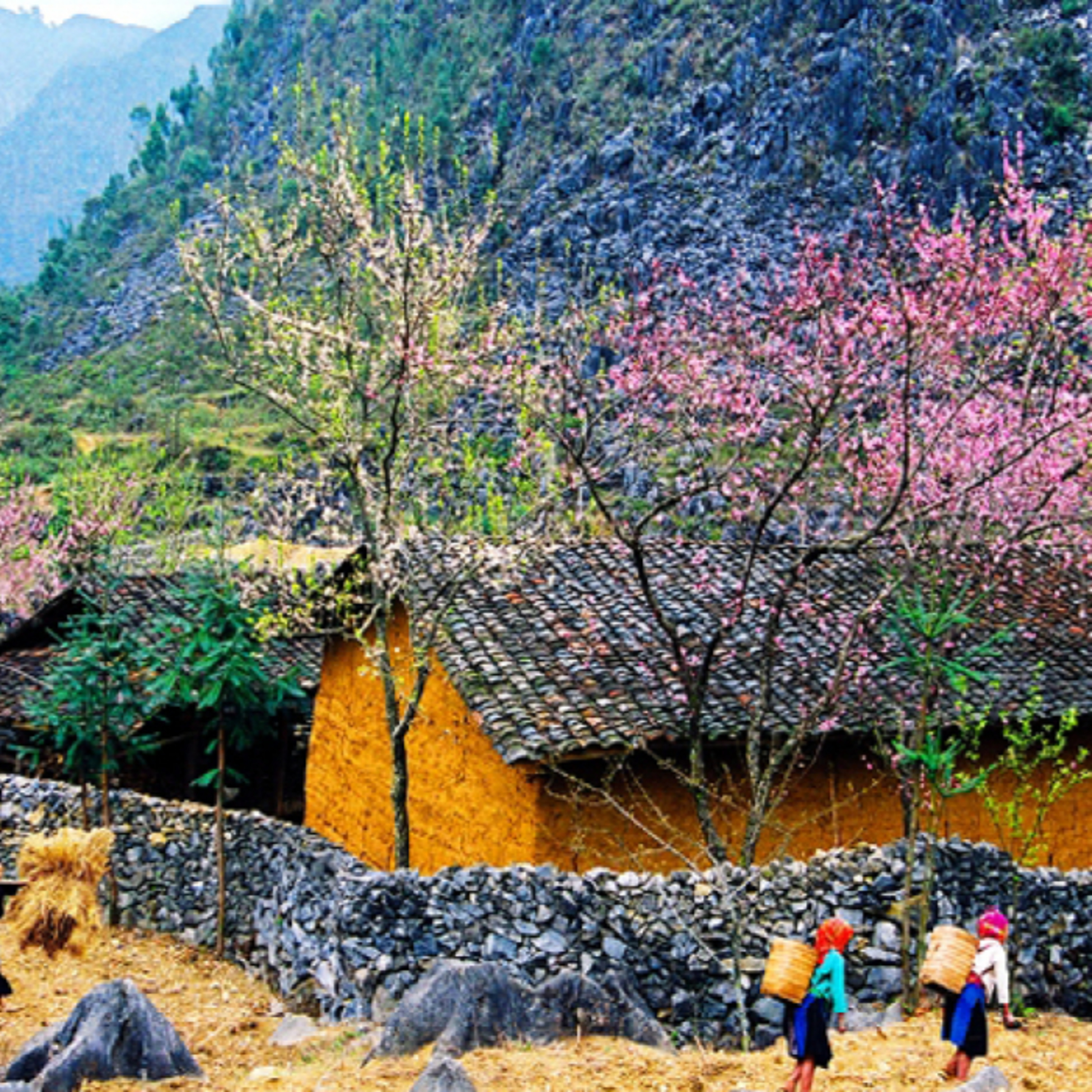 VOV6 - Ban Văn học Nghệ thuật
