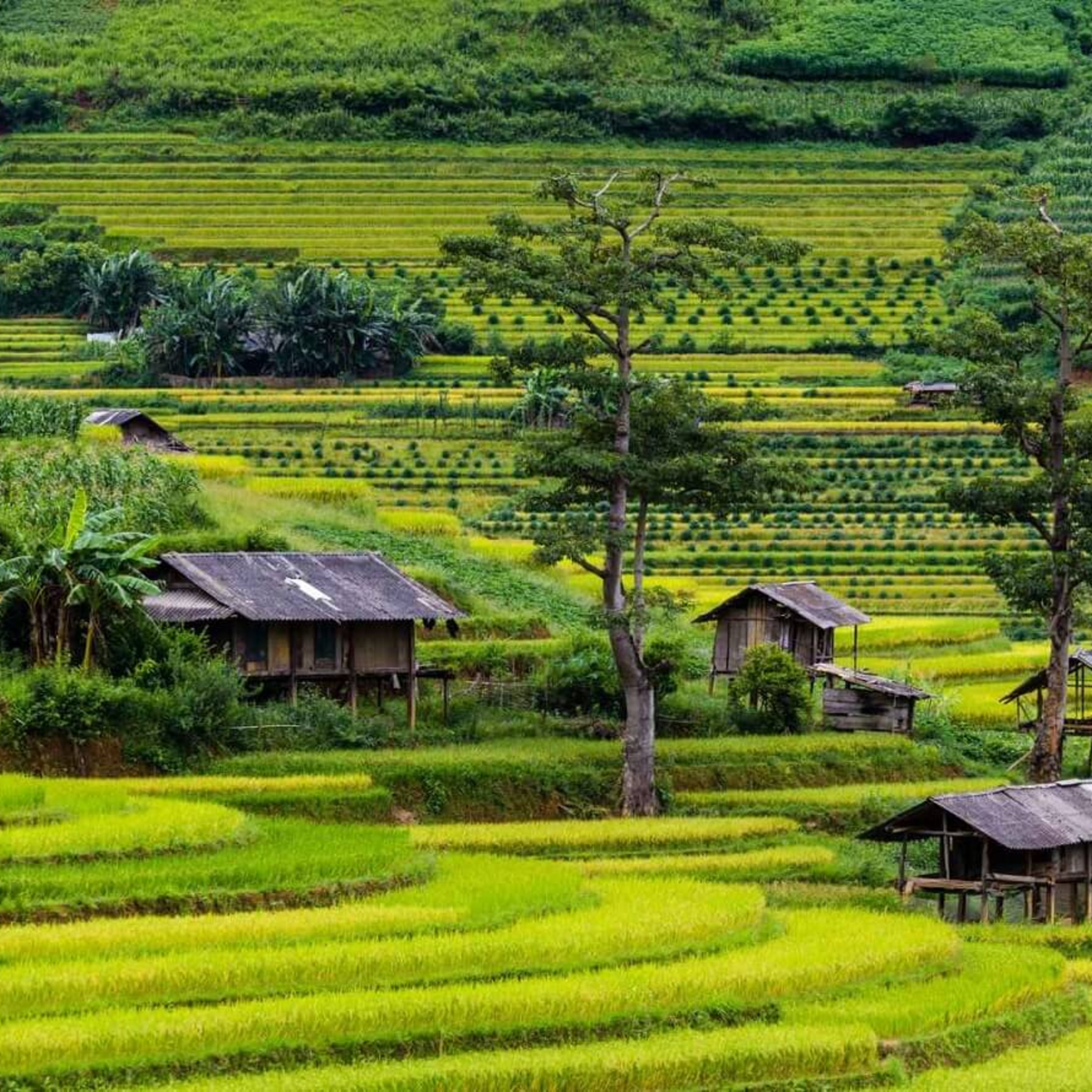 VOV6 - Ban Văn học Nghệ thuật