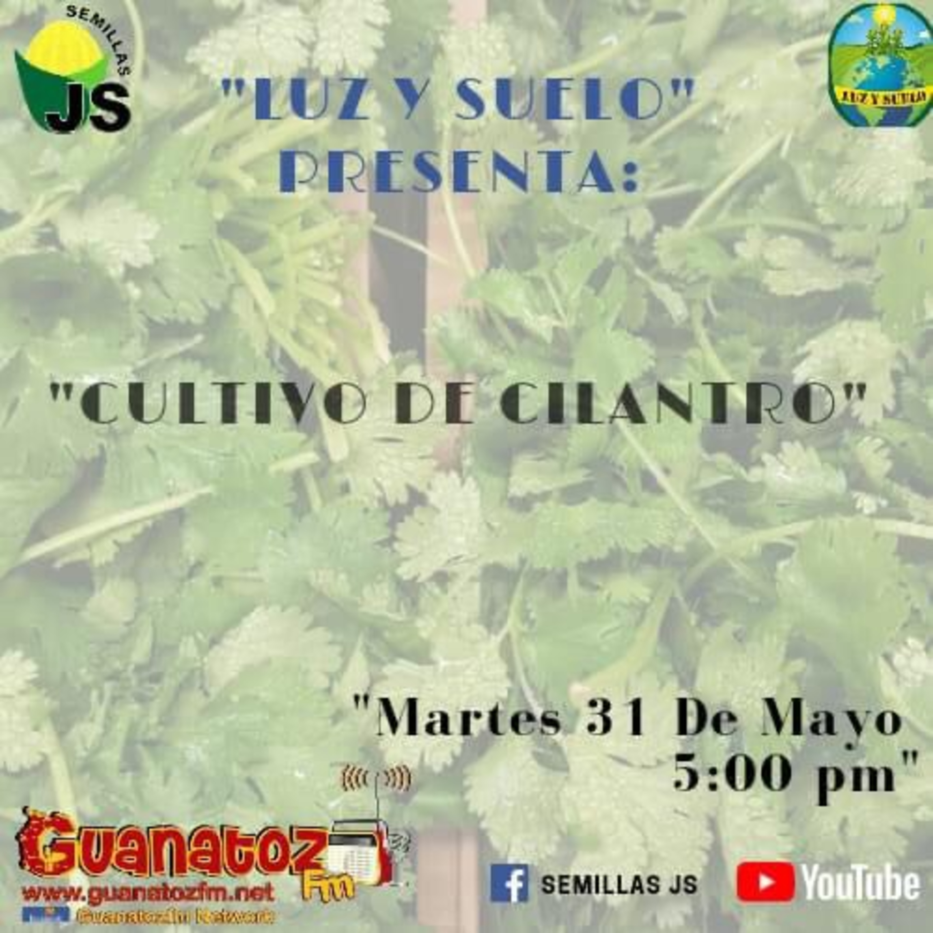 Luz Y Suelo 31 De Mayo 2022
