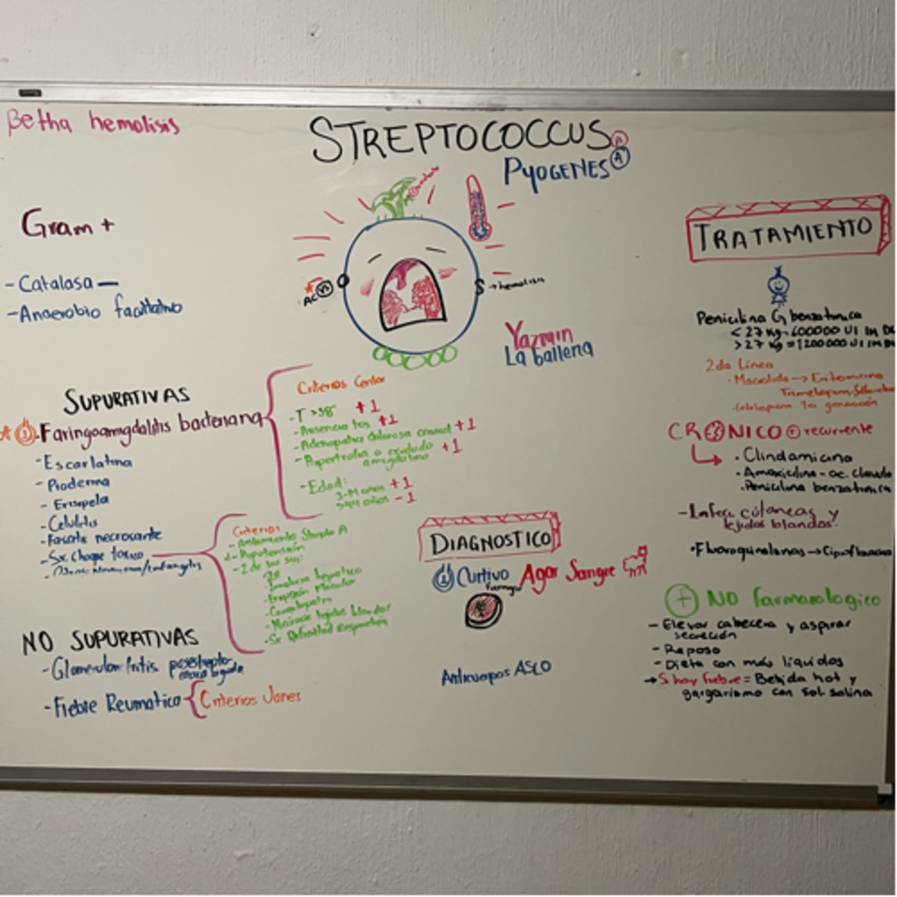 🦪➕🟣 STREPTOCOCCUS PY🐳GENES episode artwork