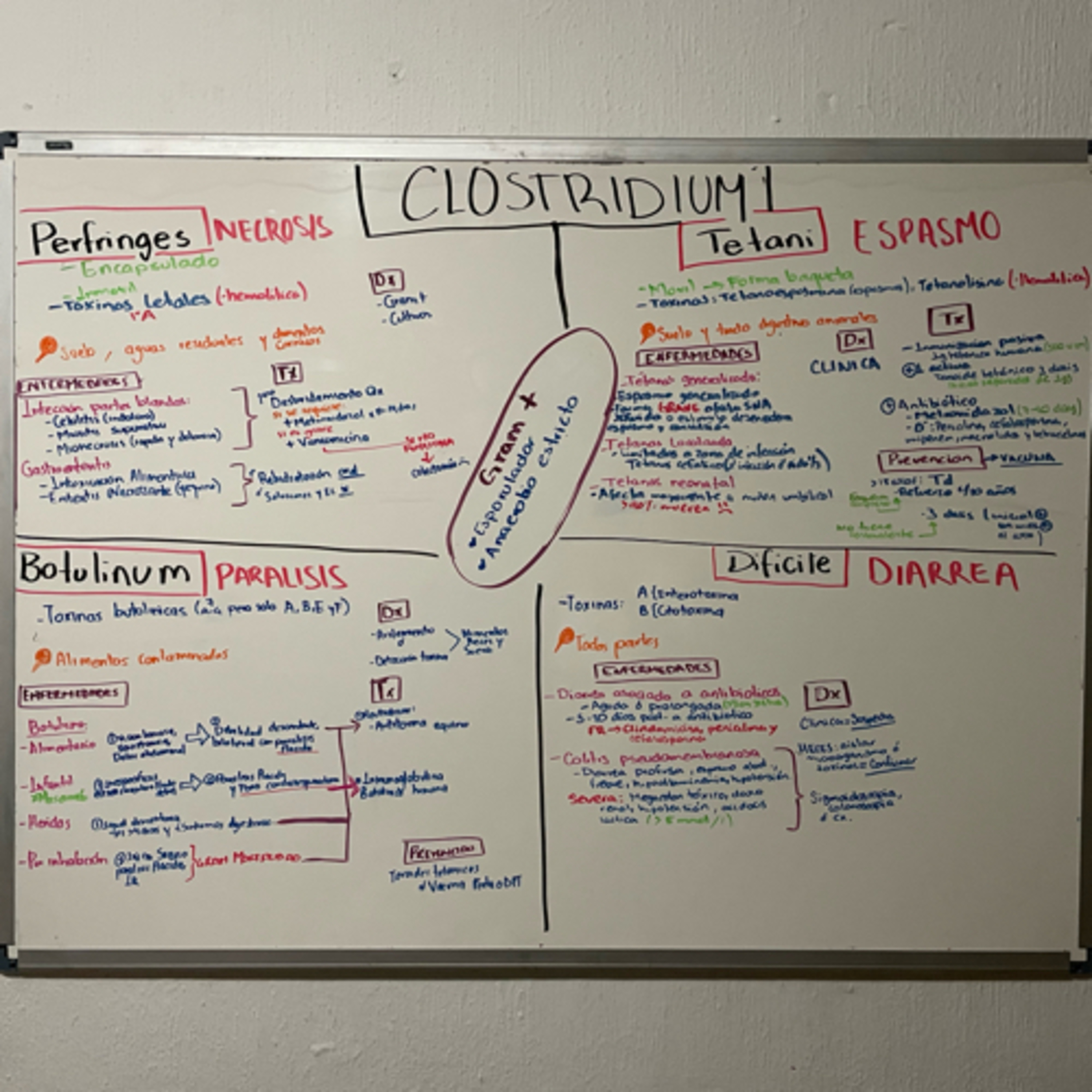 🦪➕💜 CLOSTRIDIUM  episode artwork