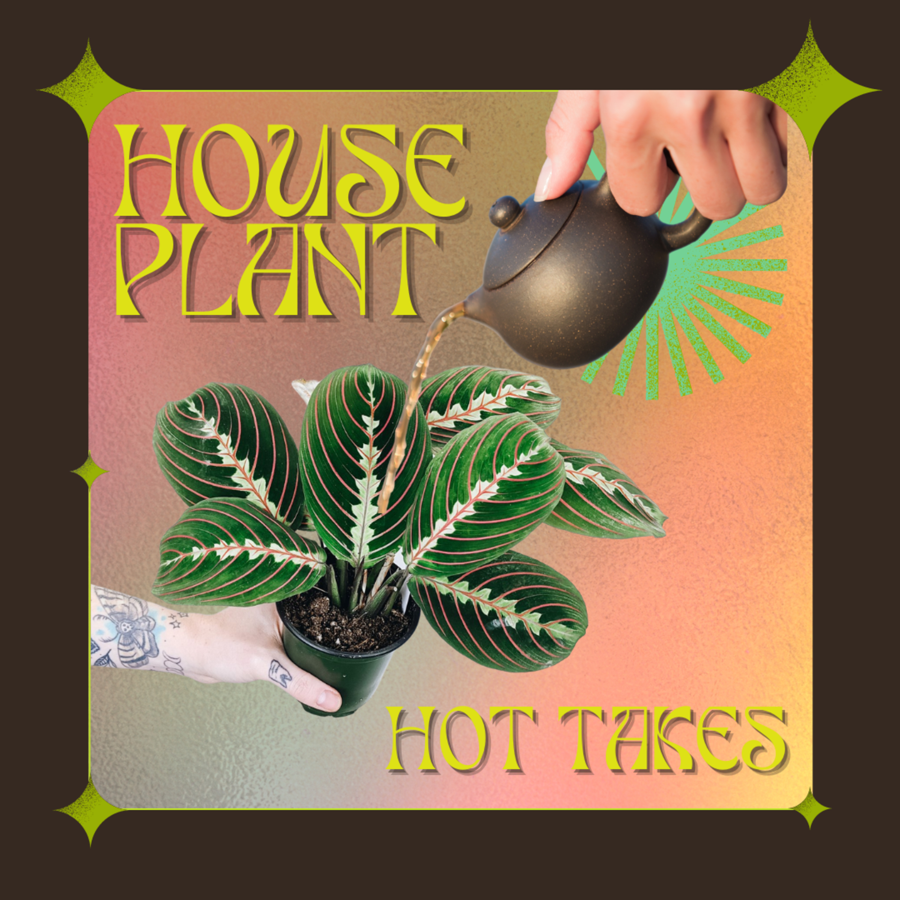 Houseplant Hot Takes