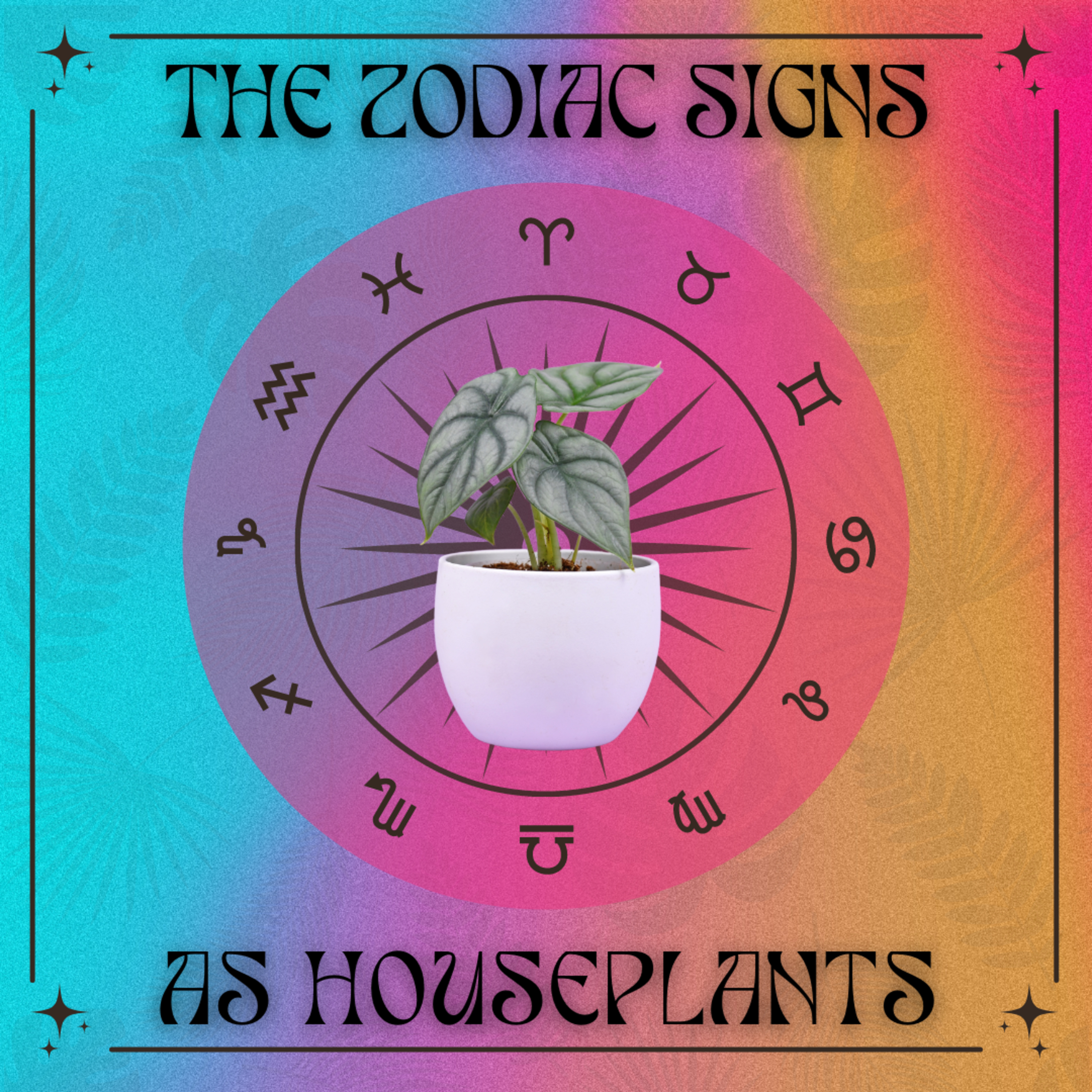 The Zodiac Signs as Houseplants