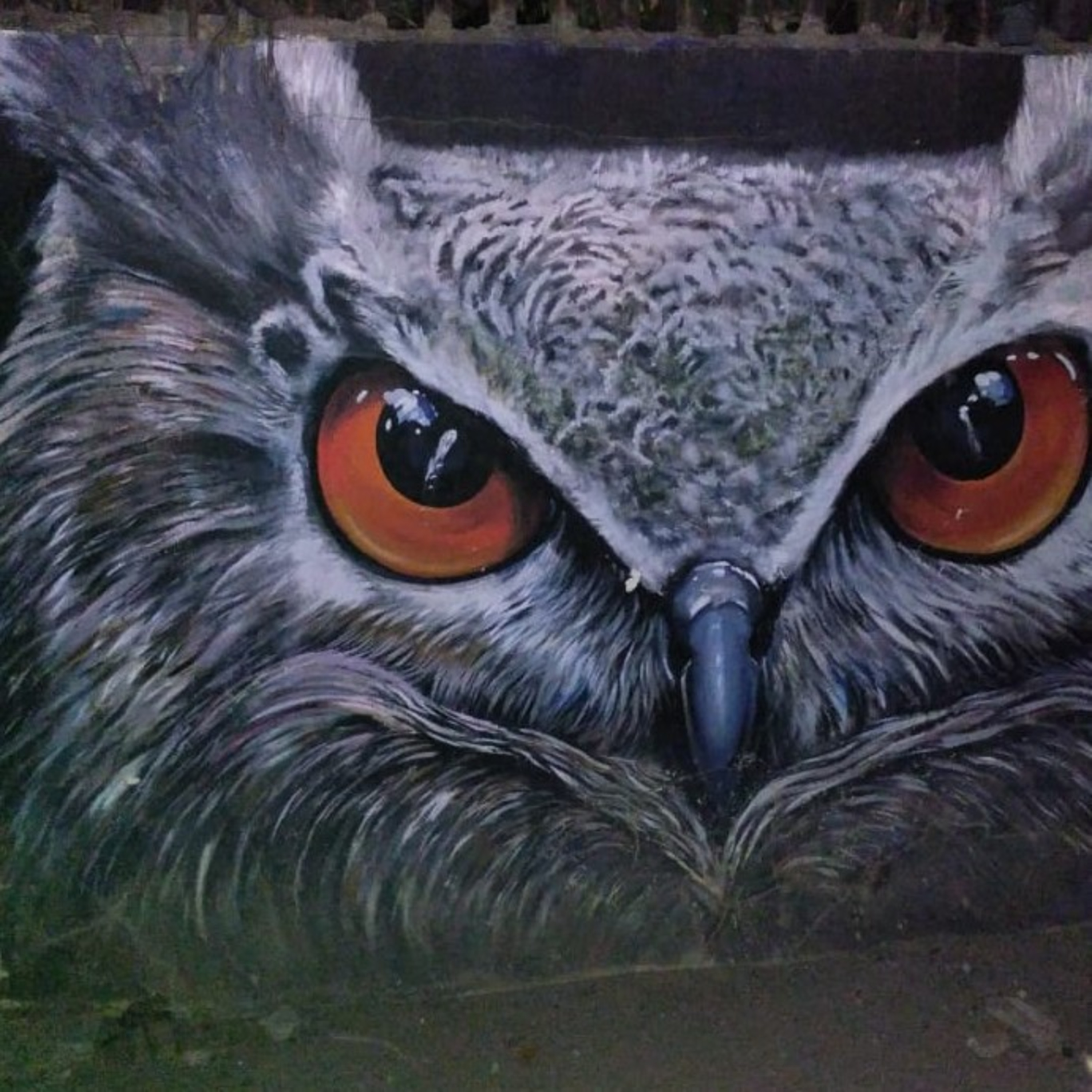 HiCuS. Life. Ideas. People.