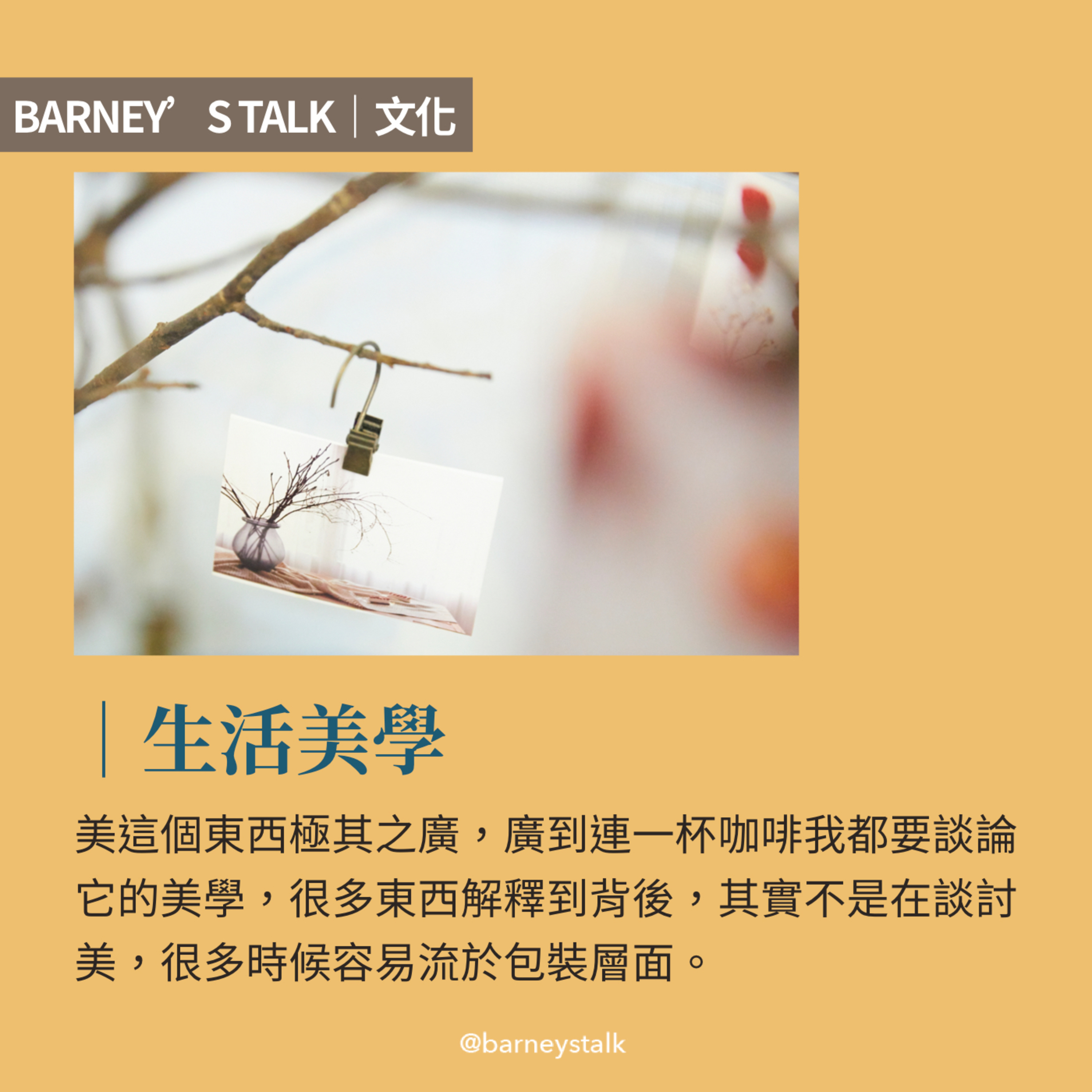 文化|生活美學為何物?可以吃嗎?|鯊魚