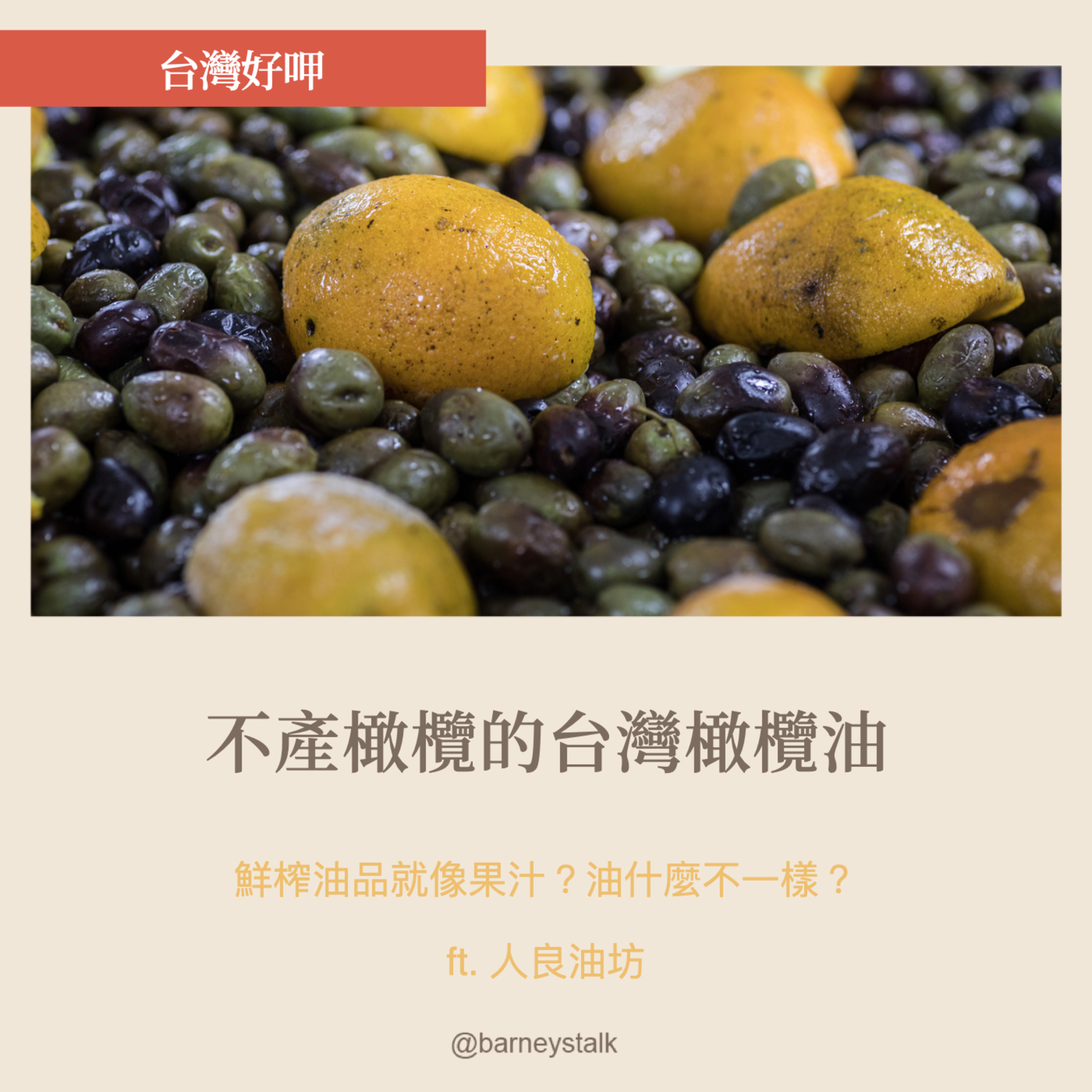 台灣好呷|不產橄欖的台灣橄欖油|人良油坊