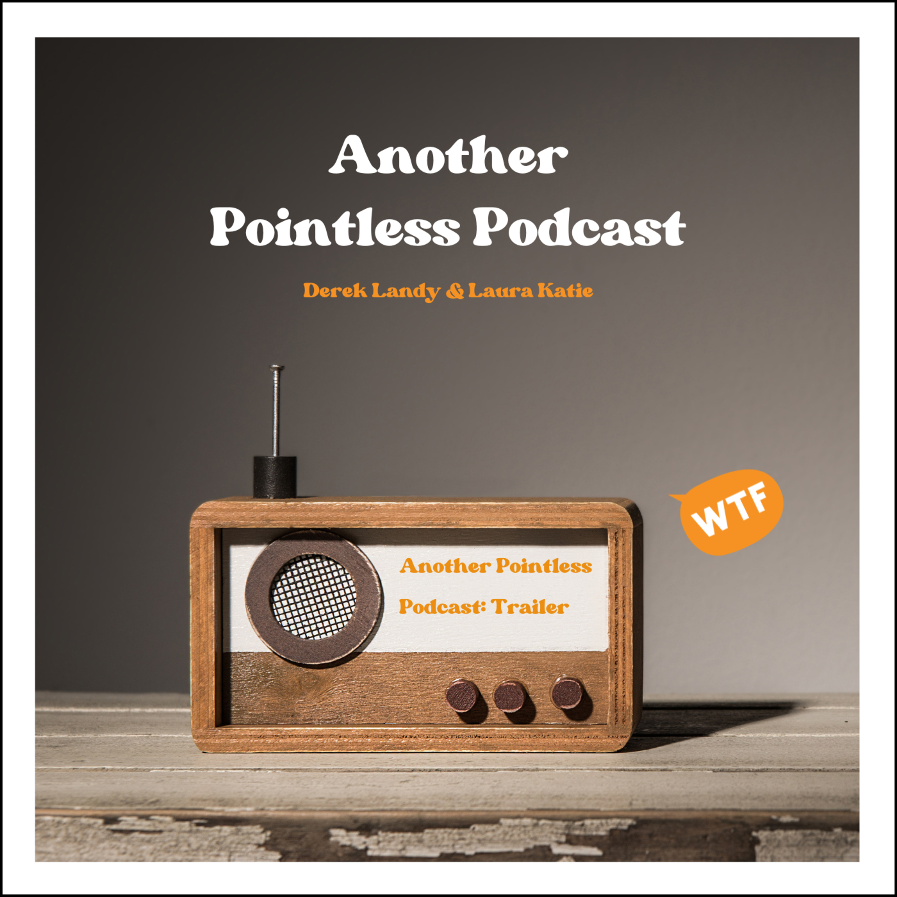 Another Pointless Podcast