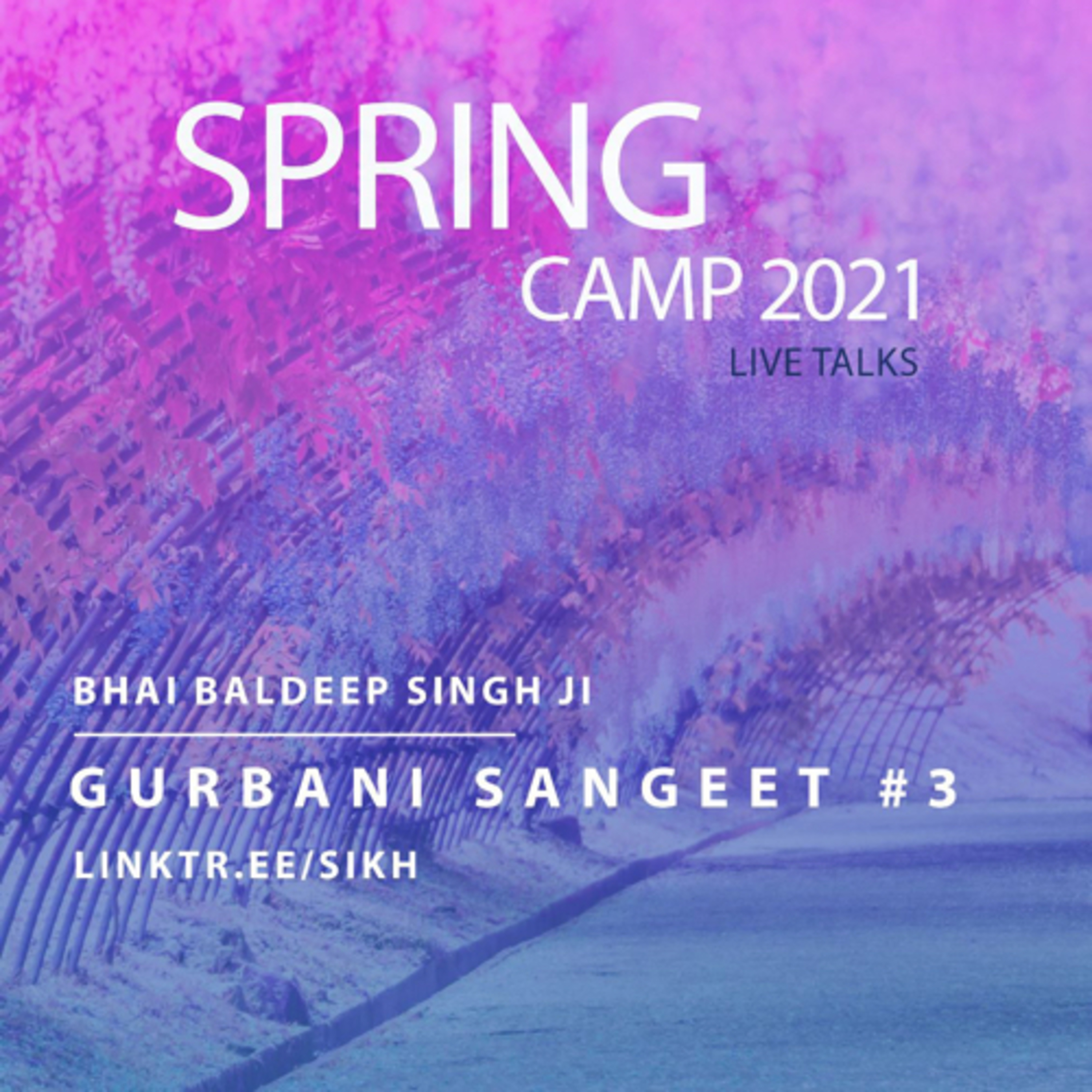 Gurbani Sangeet (Part 3) | Bhai Baldeep Singh Ji | Sikh Discord Spring Camp 2021 episode artwork