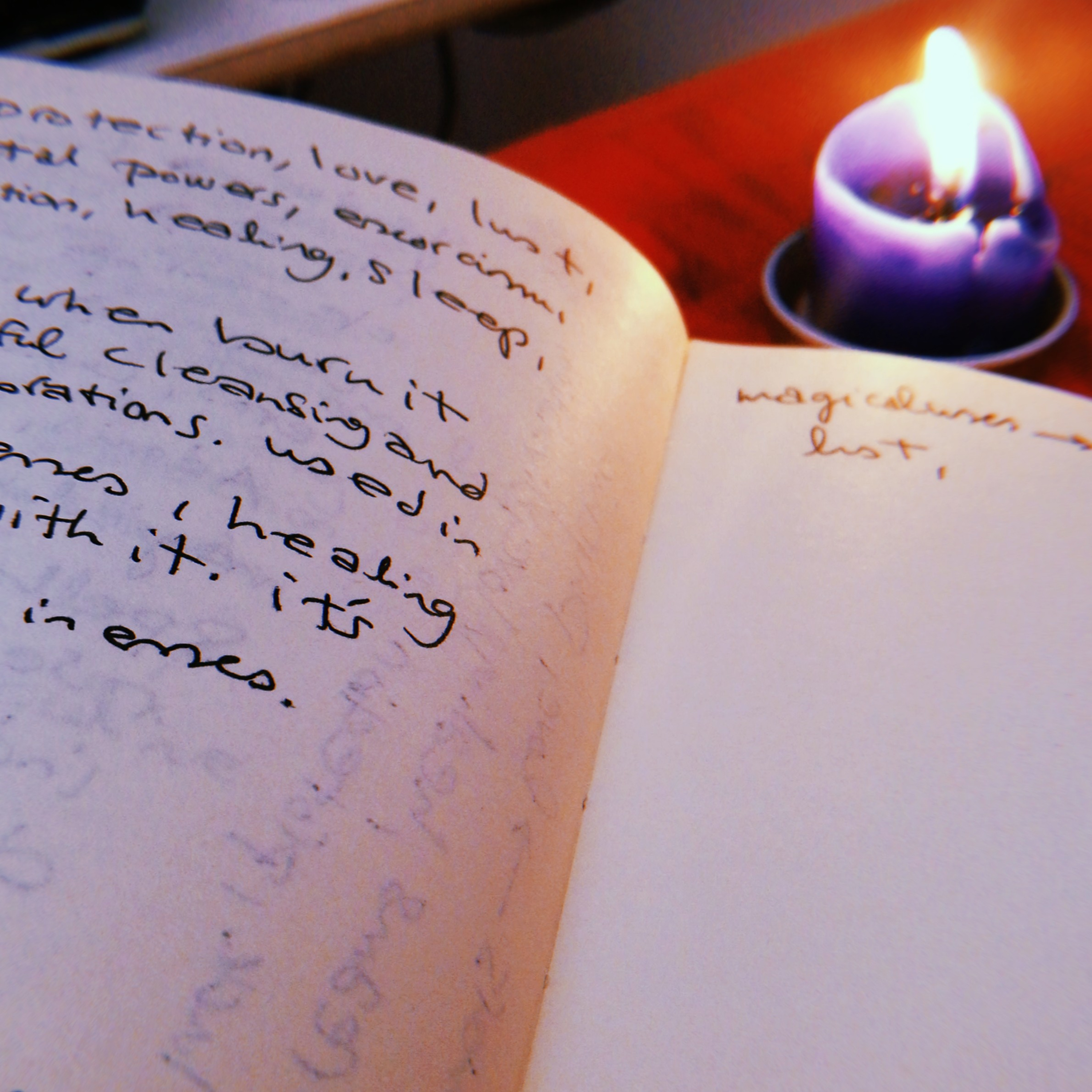 Cunningham's Encyclopedia of Wicca in the Kitchen| chap. Twenty two | money