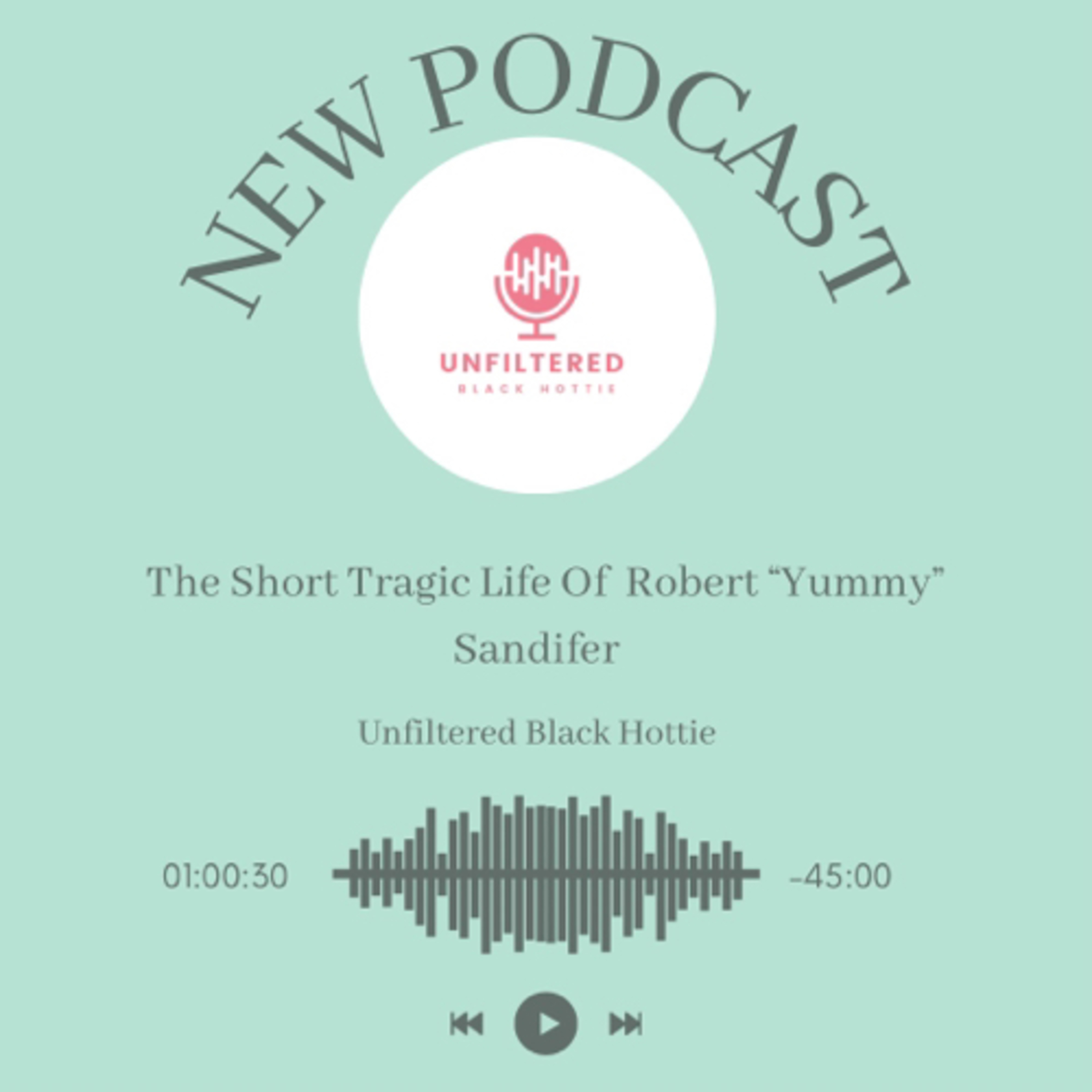 The Unfiltered Black Hottie Podcast