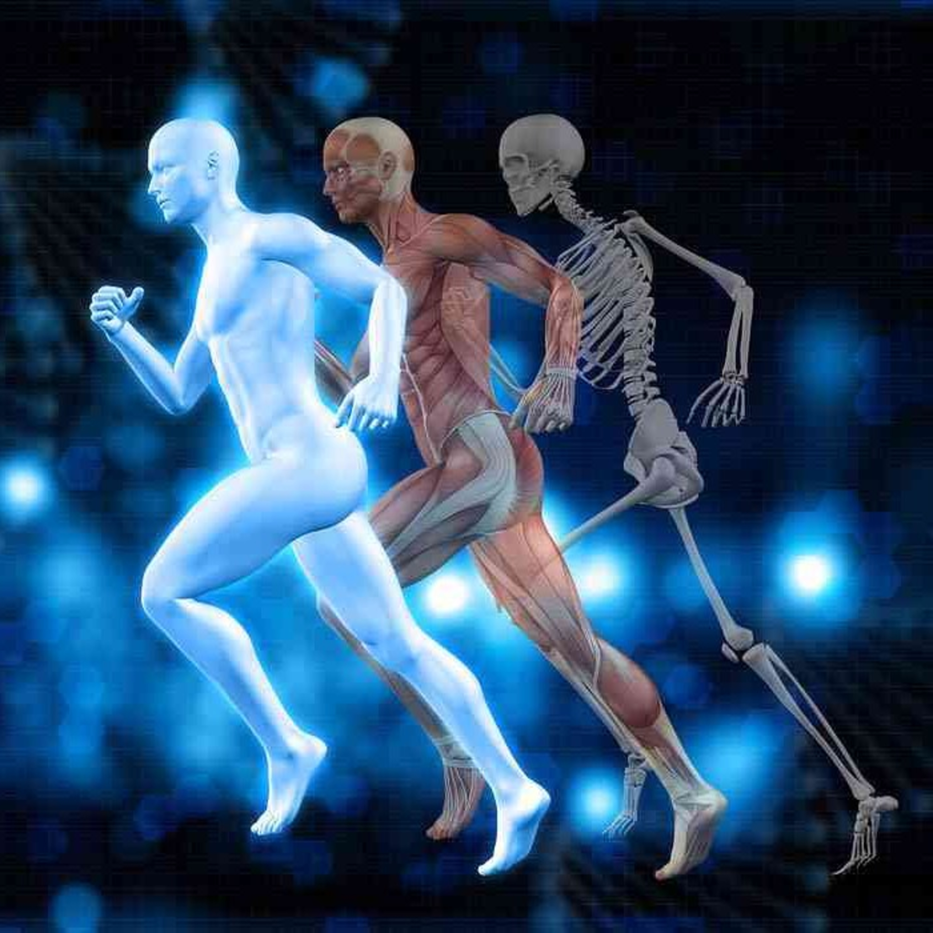 Fisioterapia