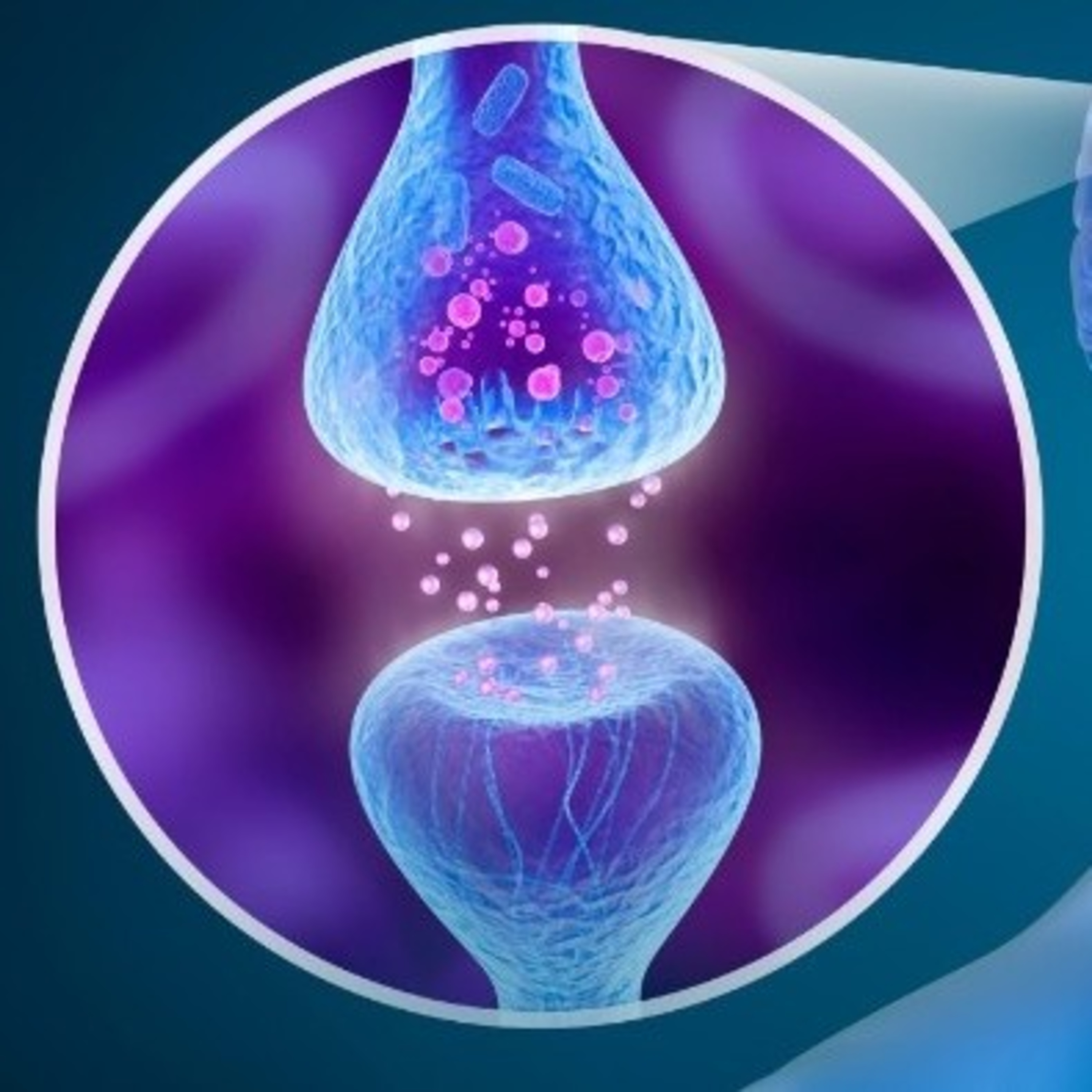 Fisioterapia