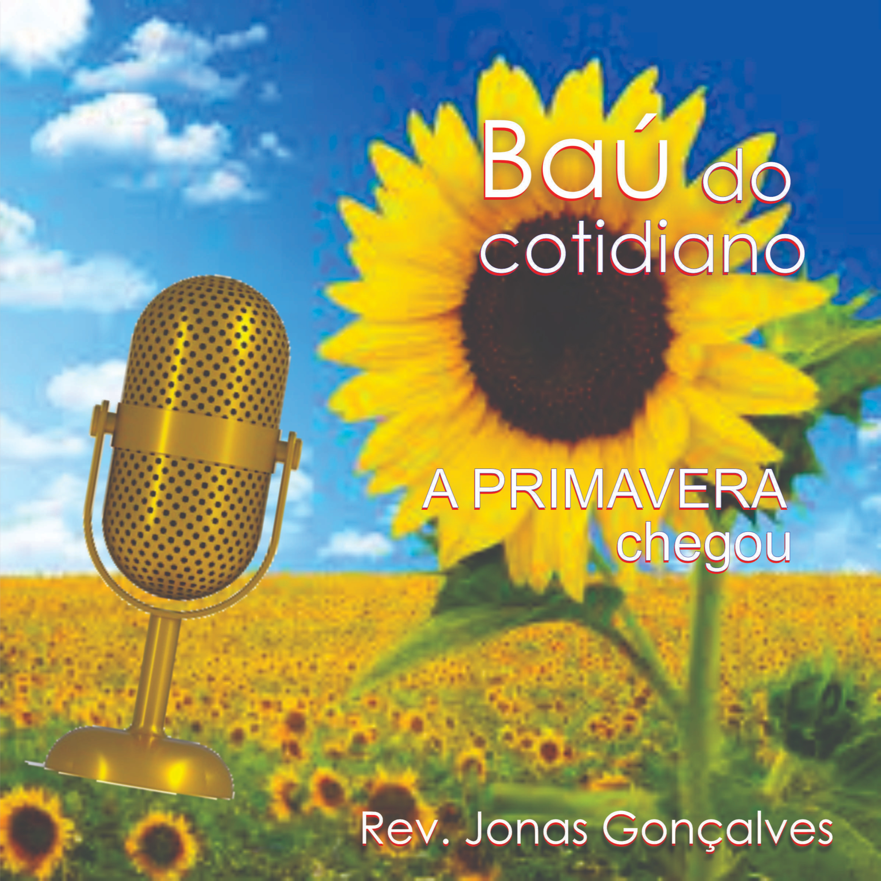Baú do Cotidiano