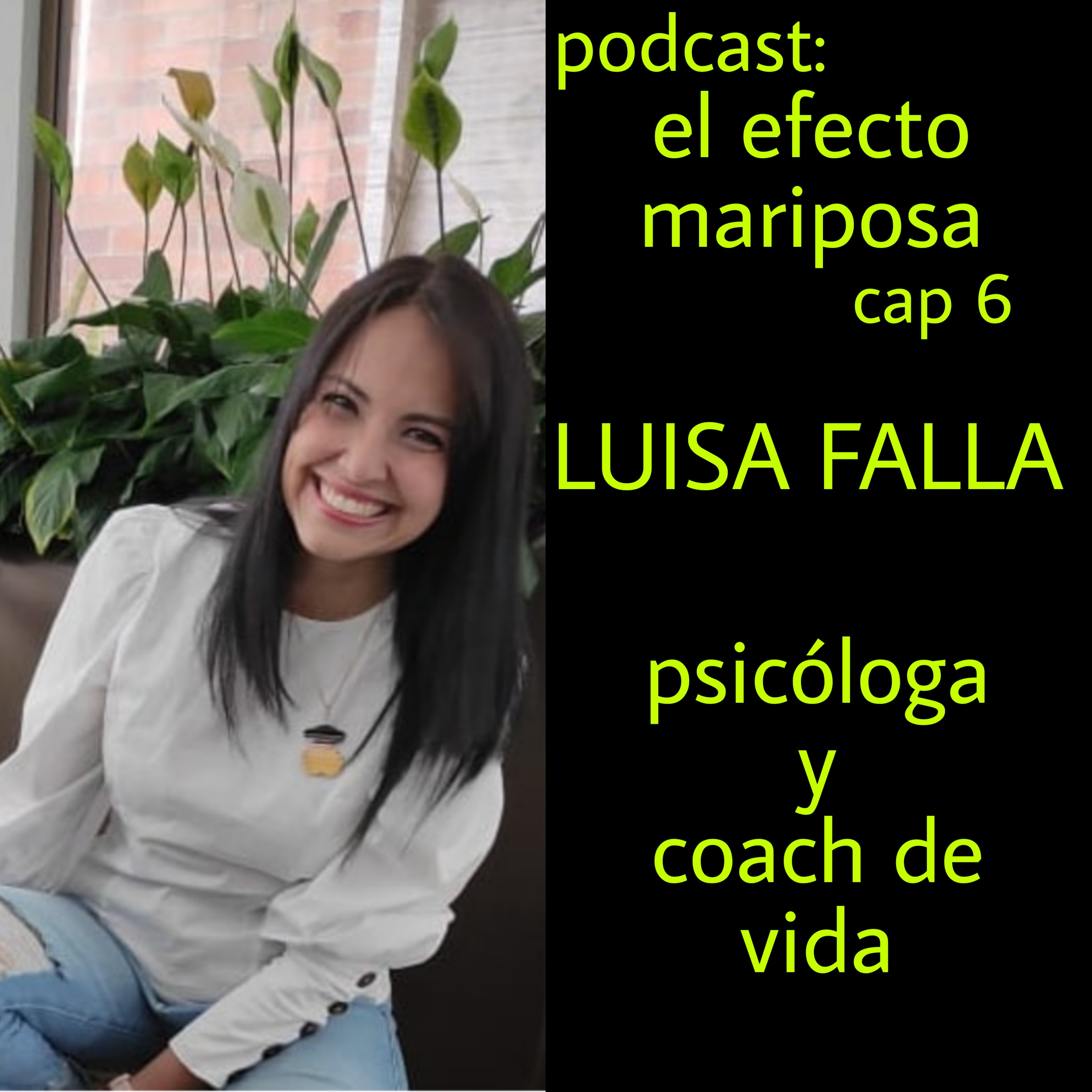 EL EFECTO MARIPOSA