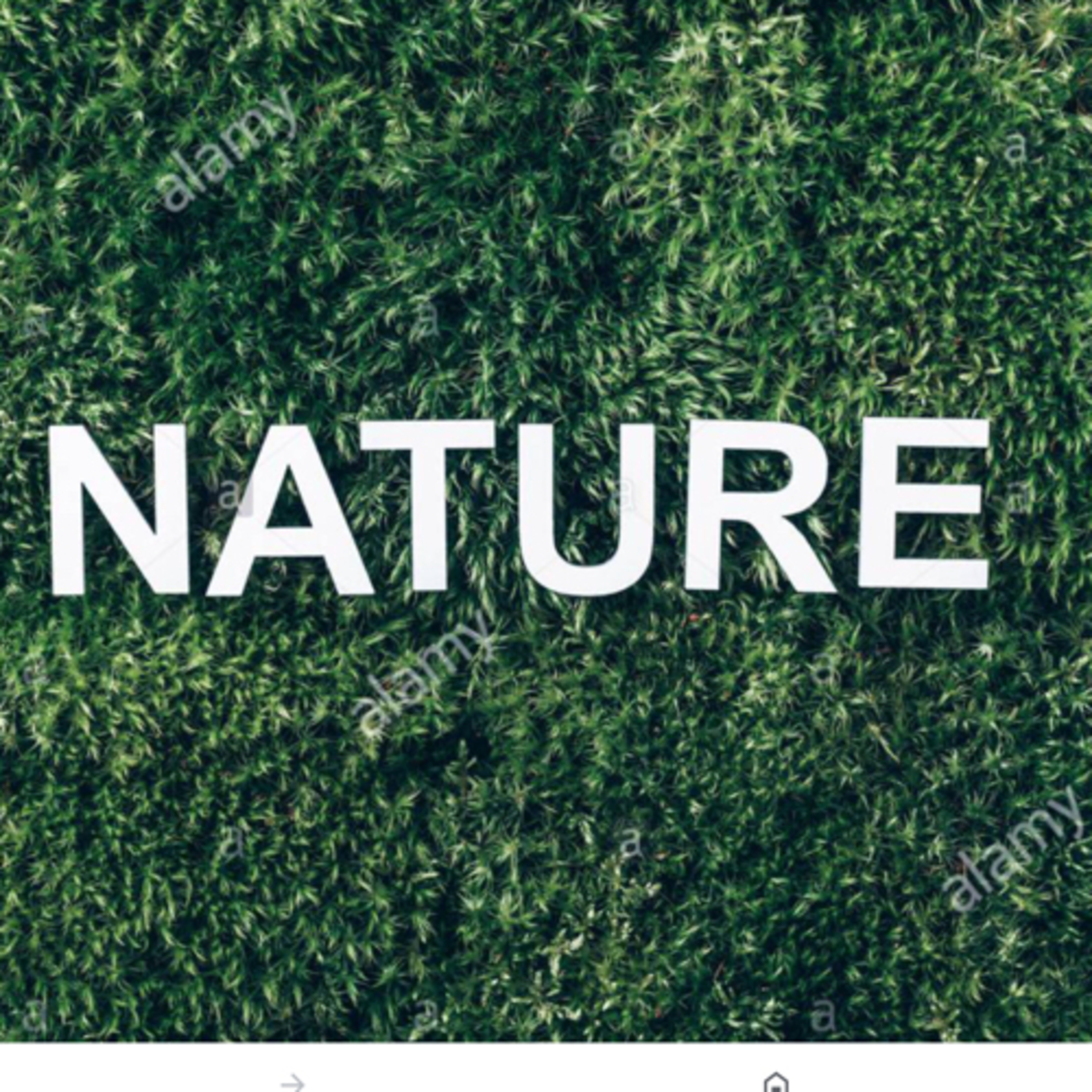 Nature  episode artwork