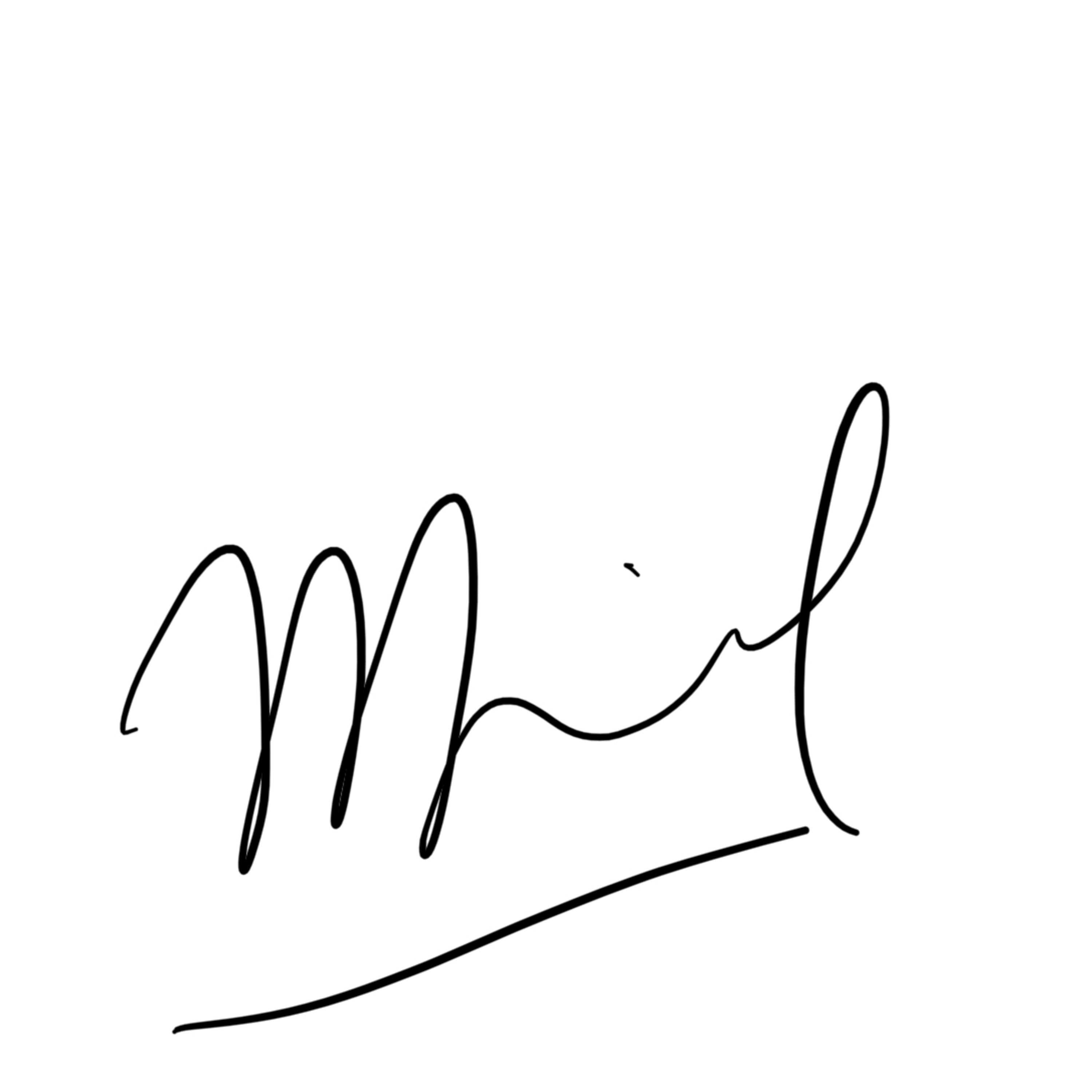 Perfection Perfection