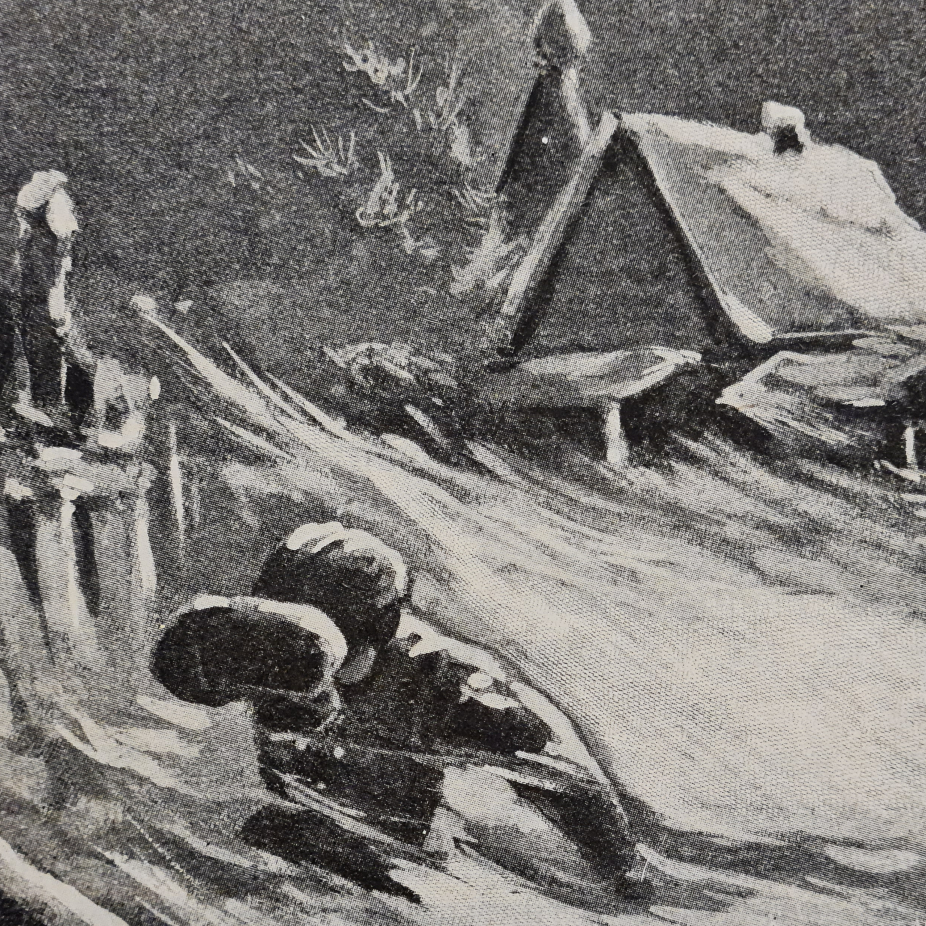 Метель. Увлекательный святочный рассказ. Н.И. Позняков. 1907 г.