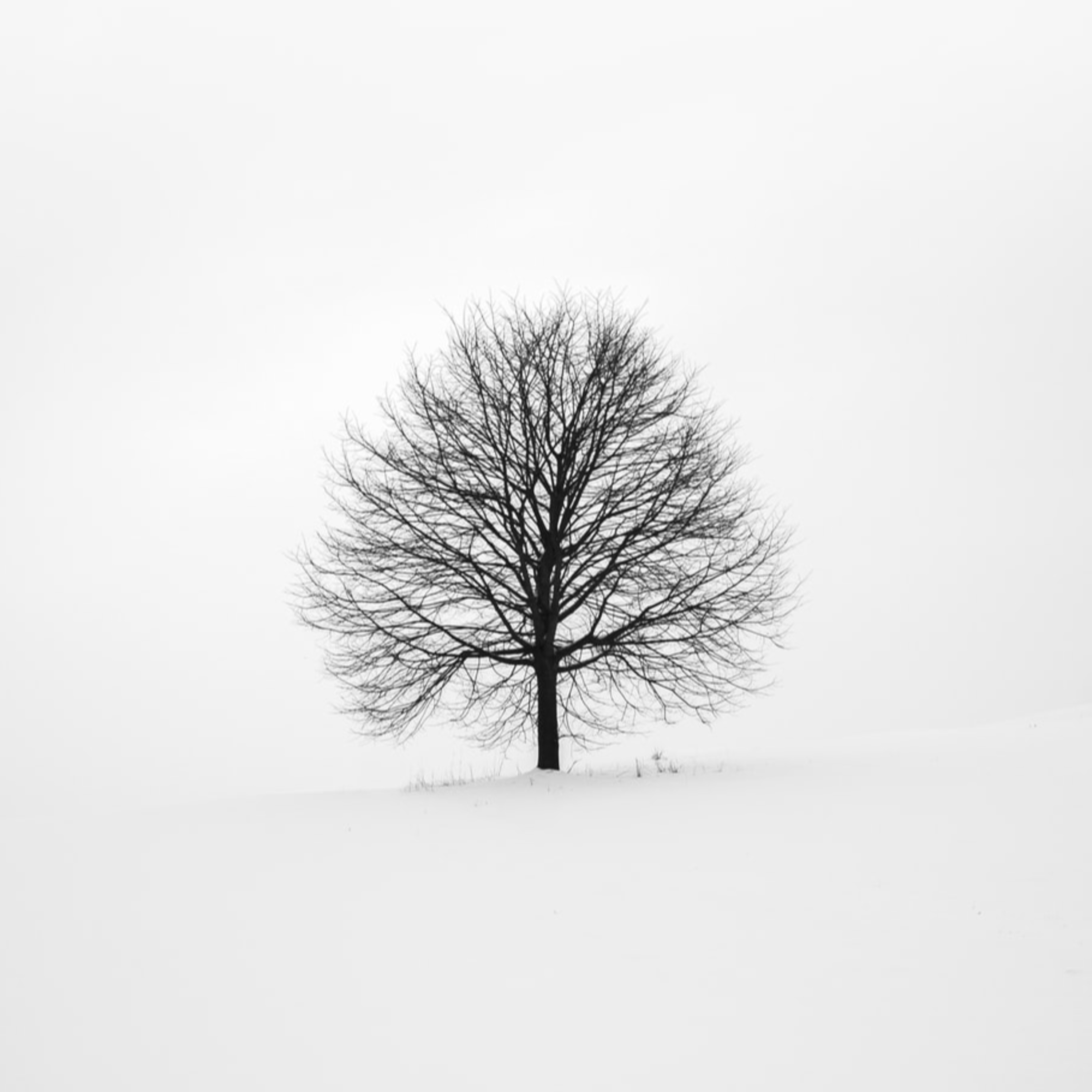 Mehmet AYCAN