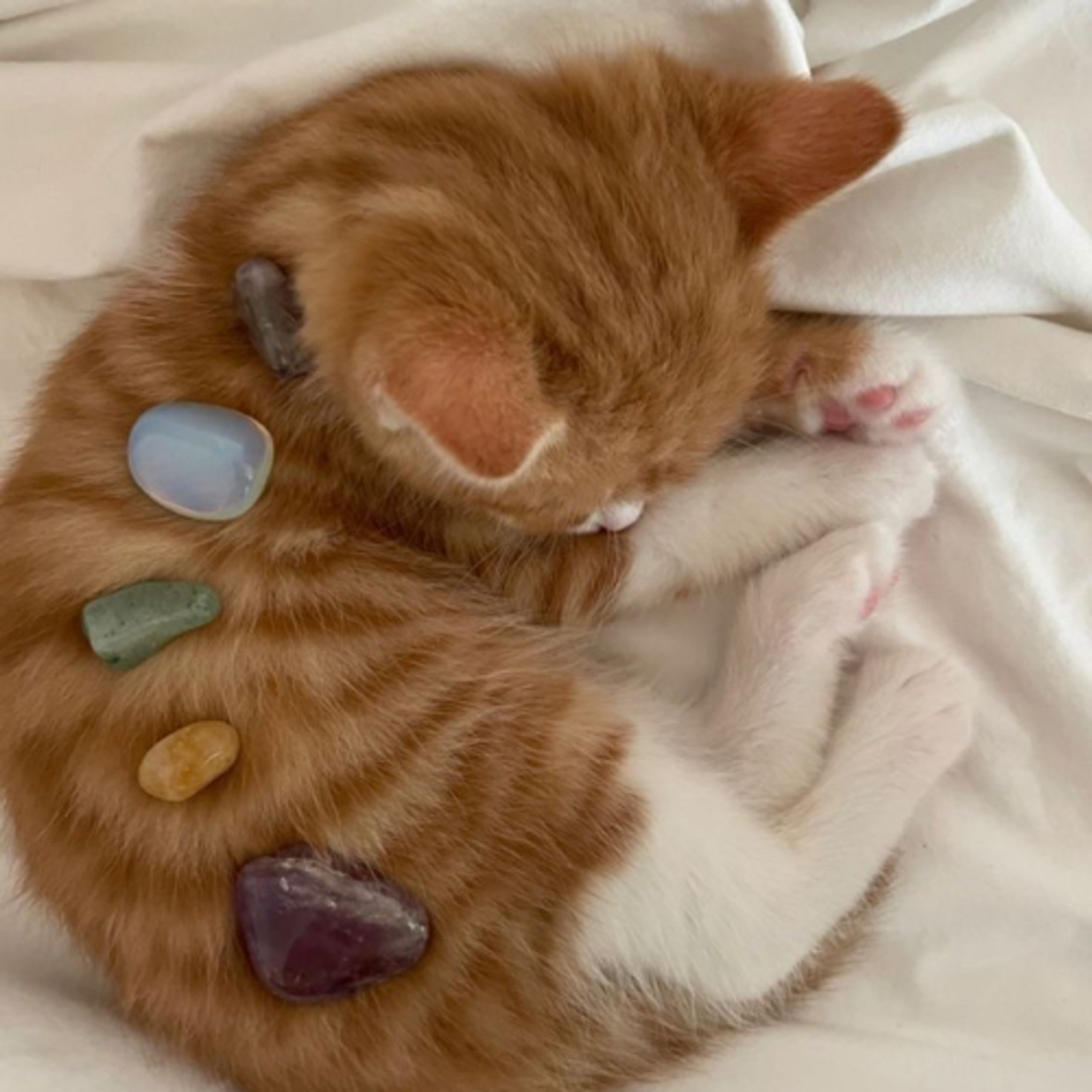 sleeping made easy