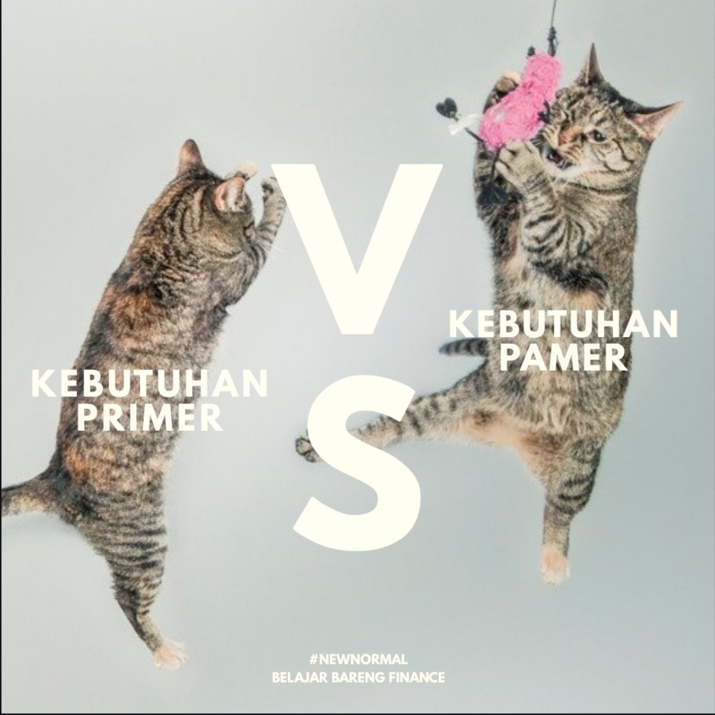 Belajar Bareng Finance