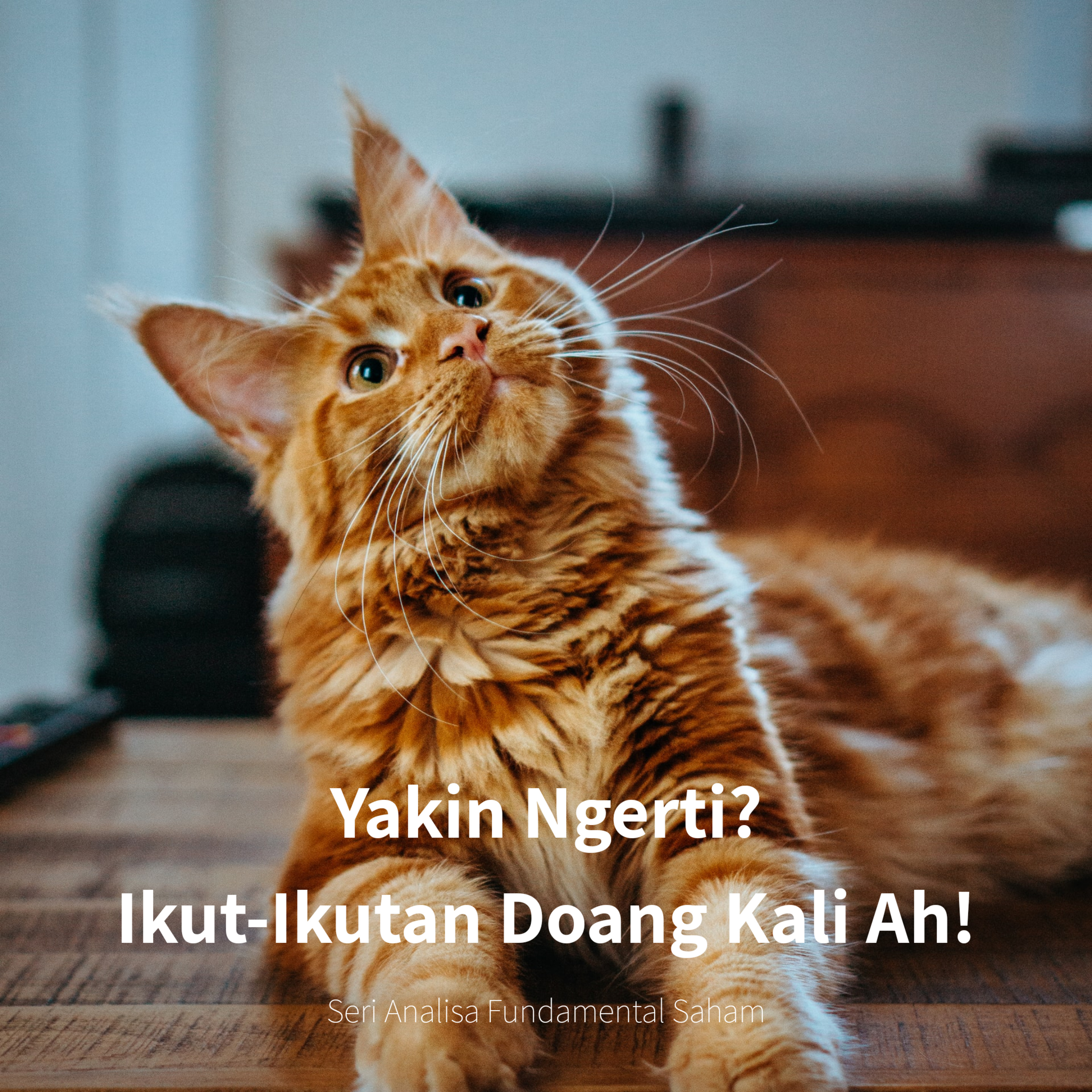 Belajar Bareng Finance