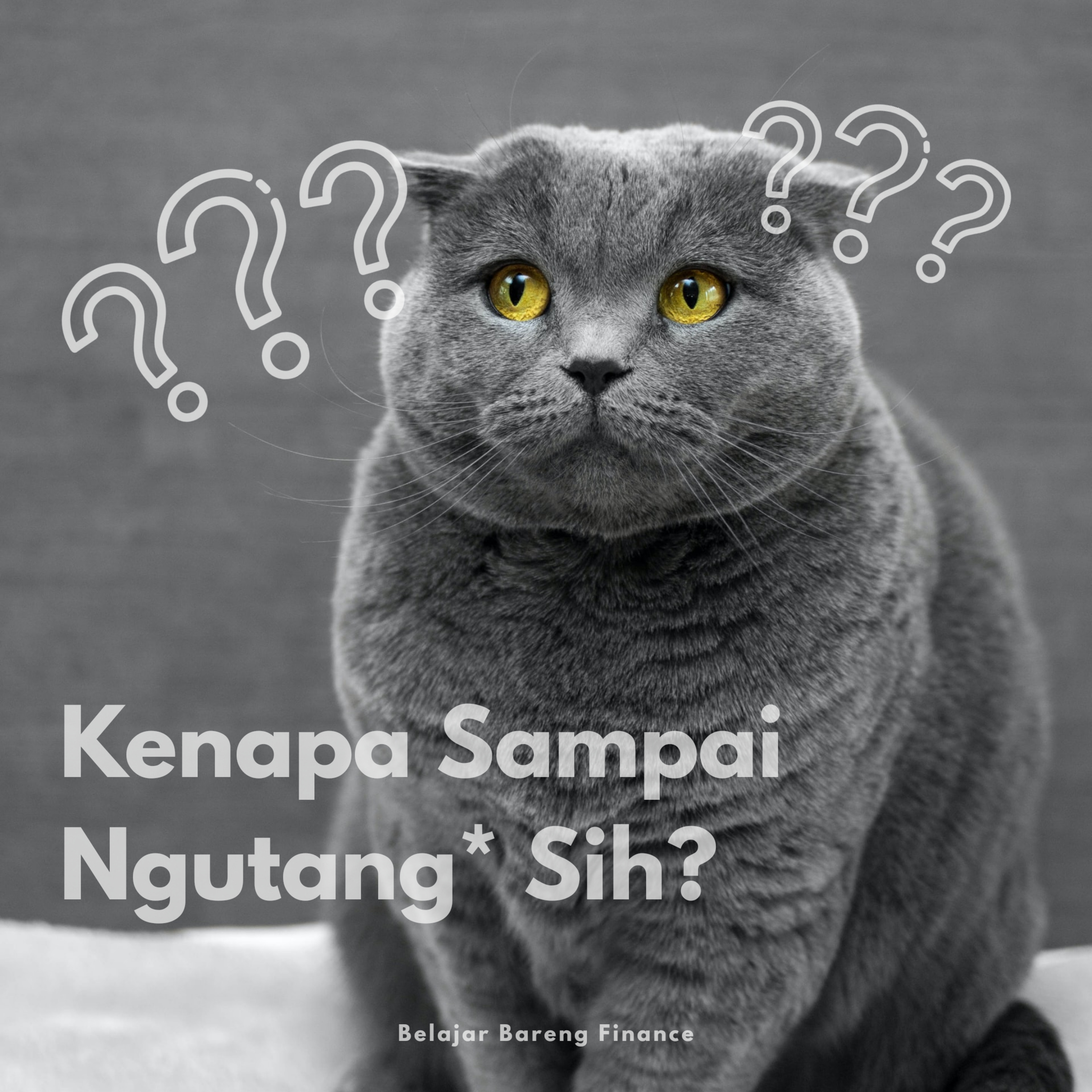Belajar Bareng Finance