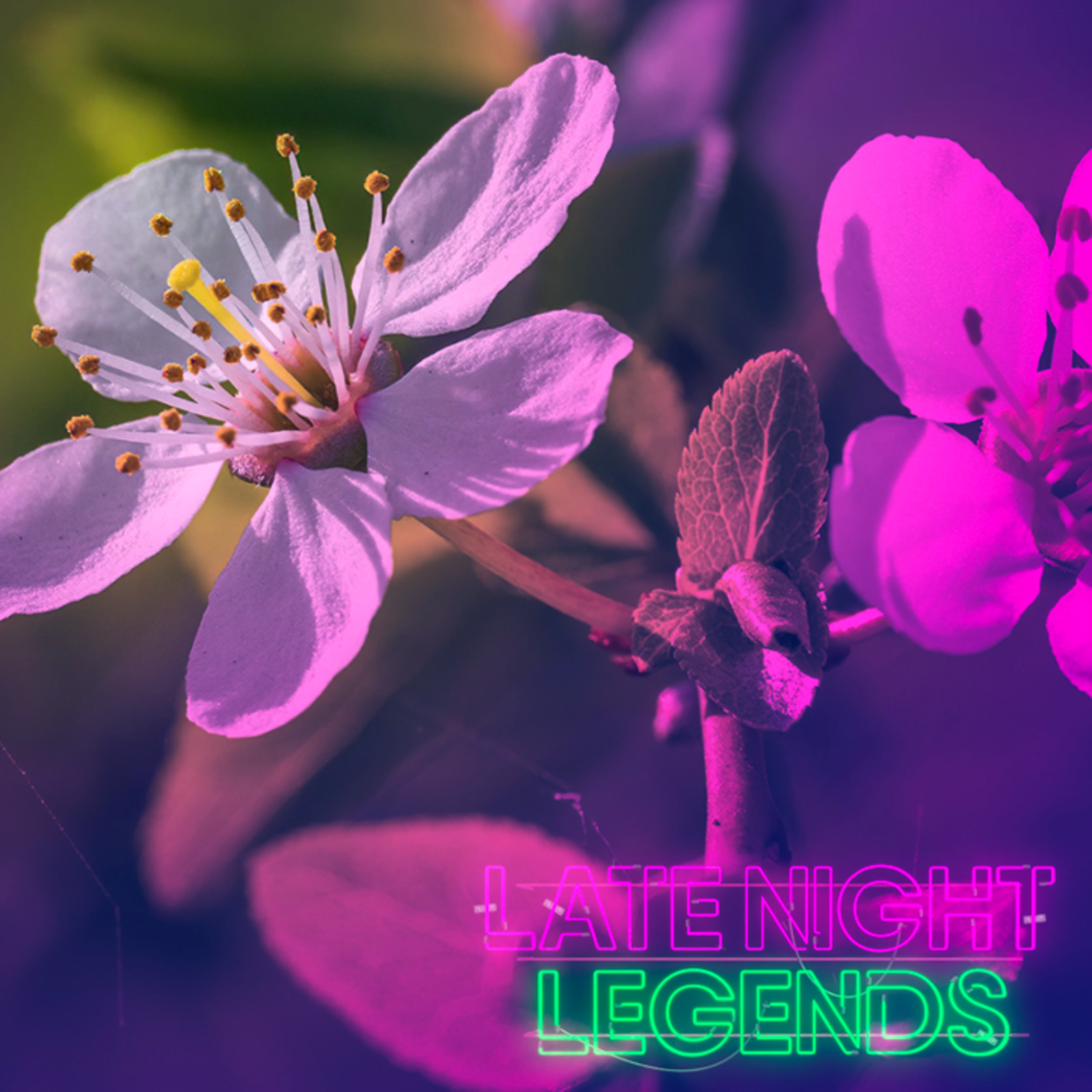 Late Night Legends