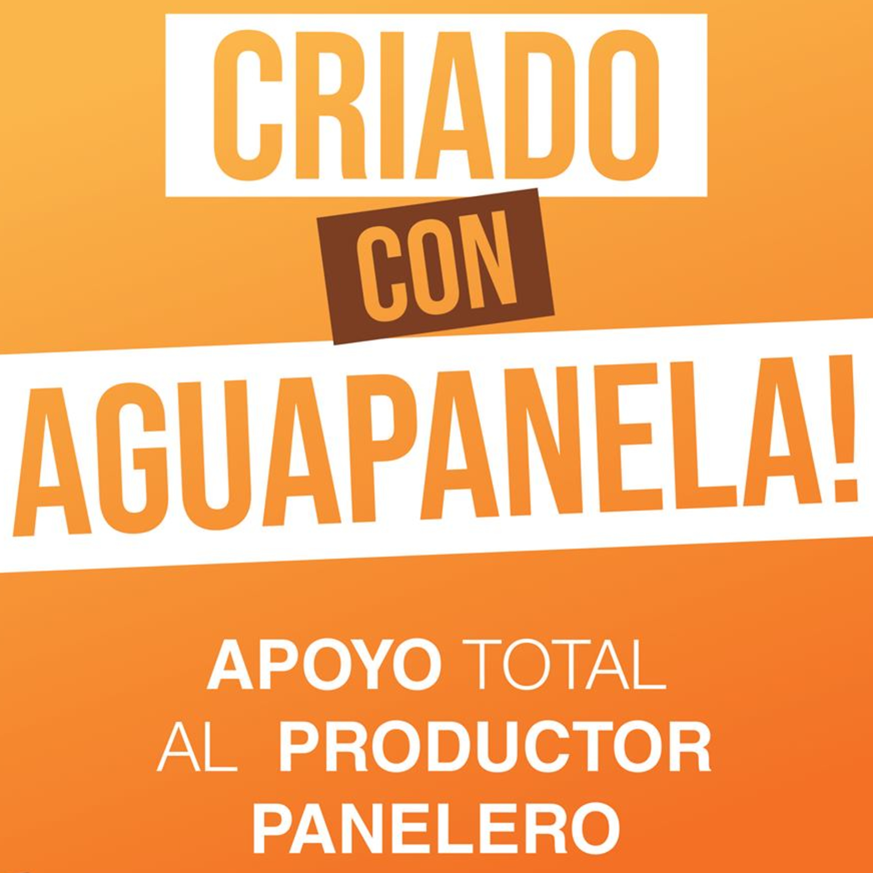 Univertopías. El programa de la Reforma Universitaria.