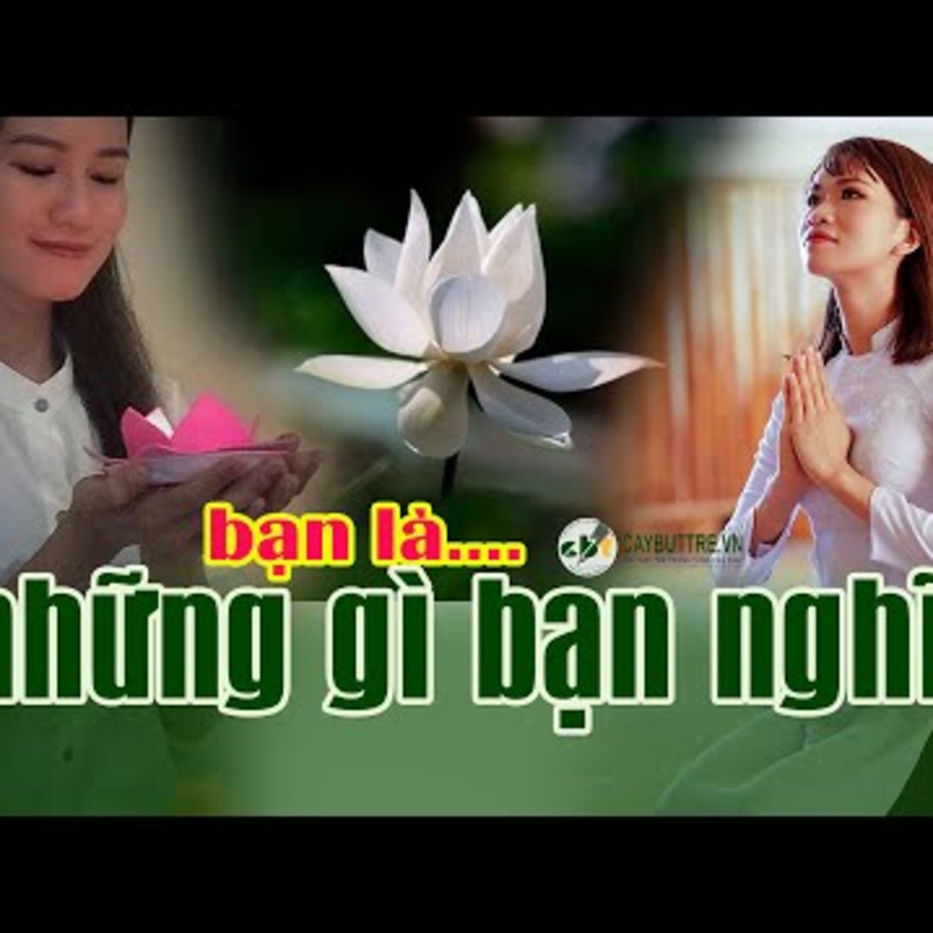 CÂY BÚT TRẺ AUDIO